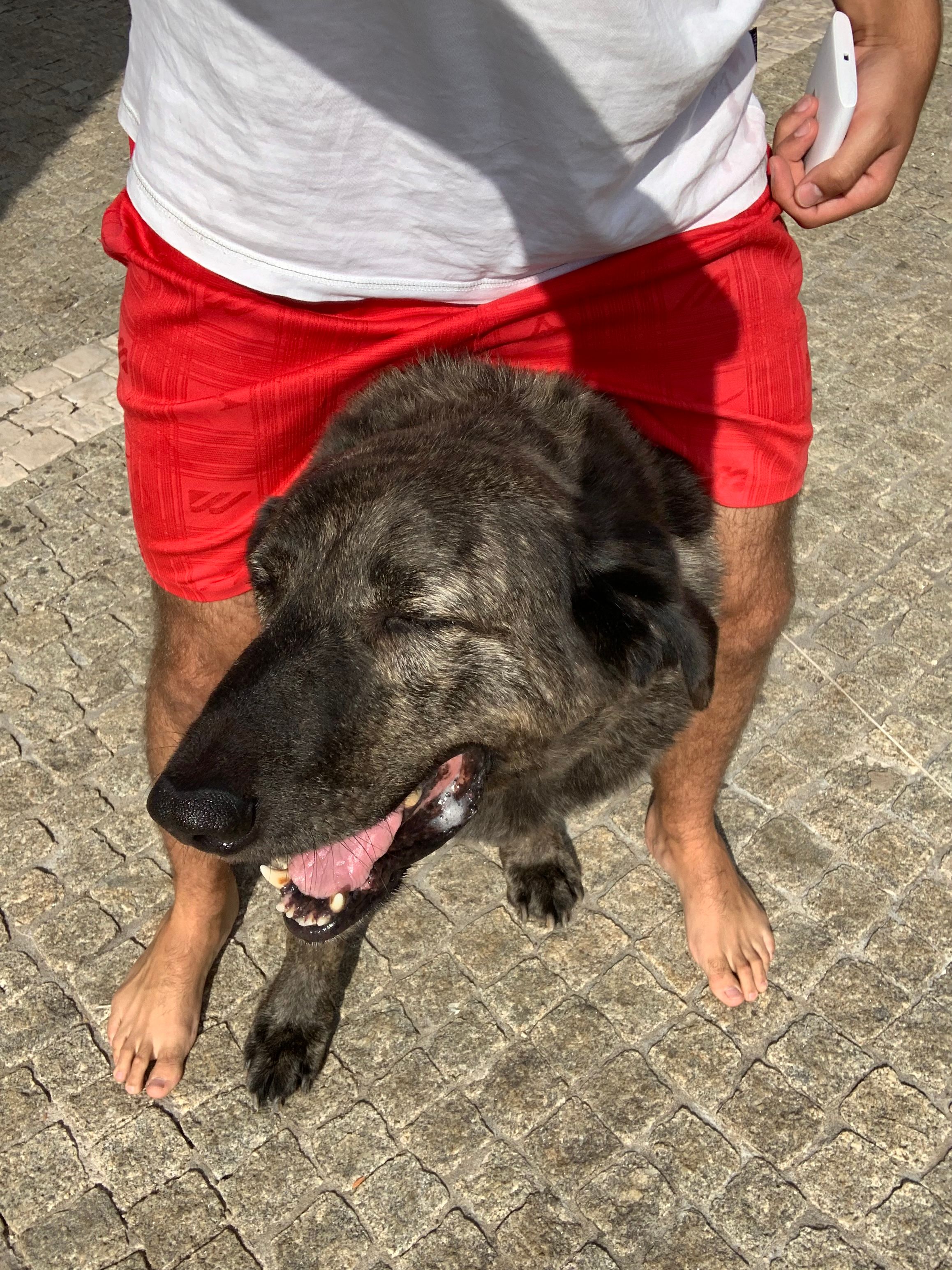 image-7