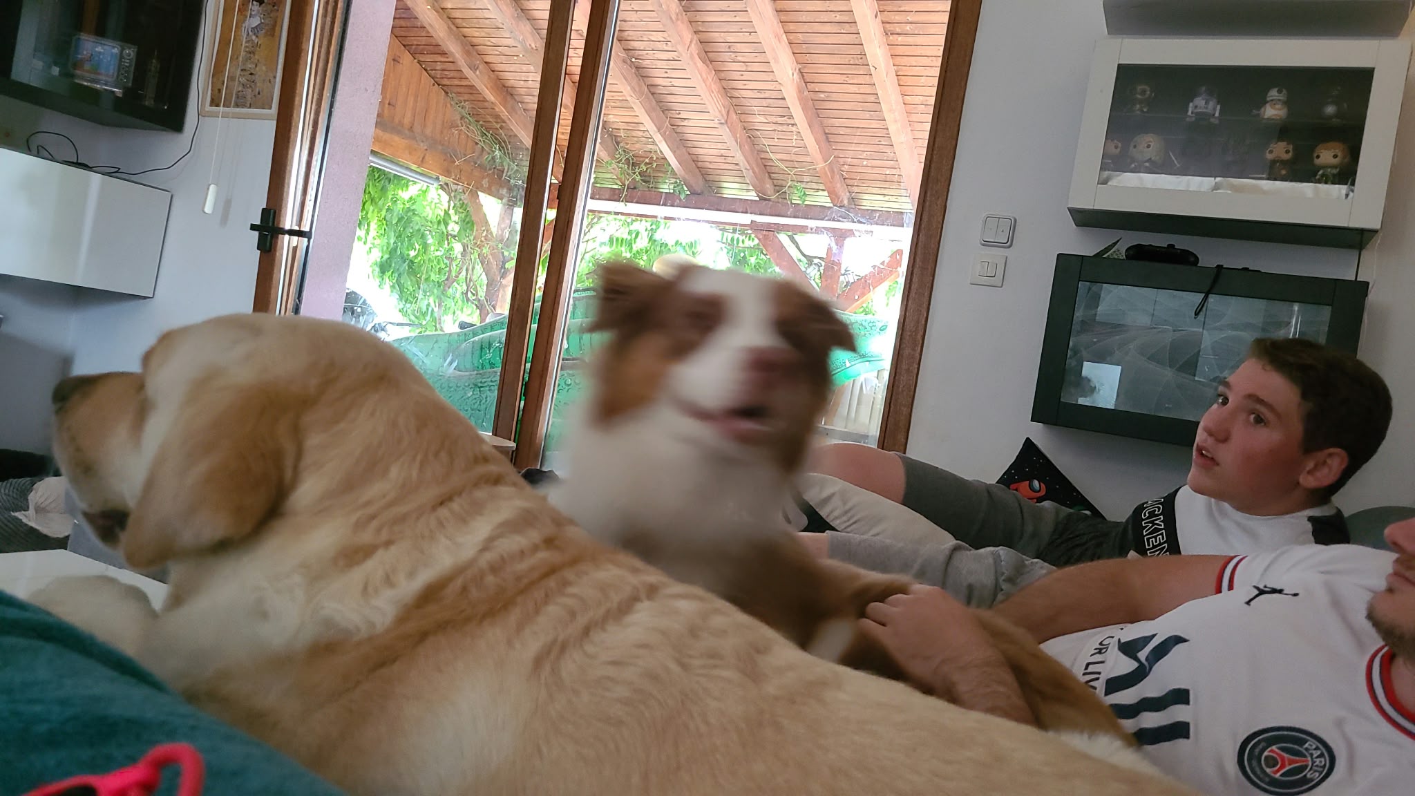 image-10