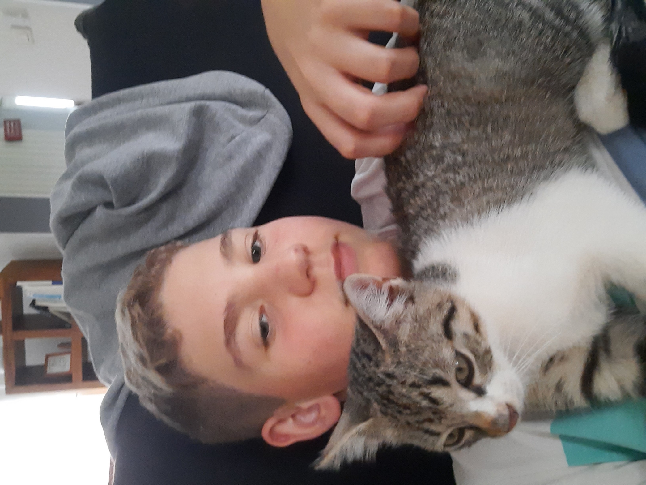 image-8