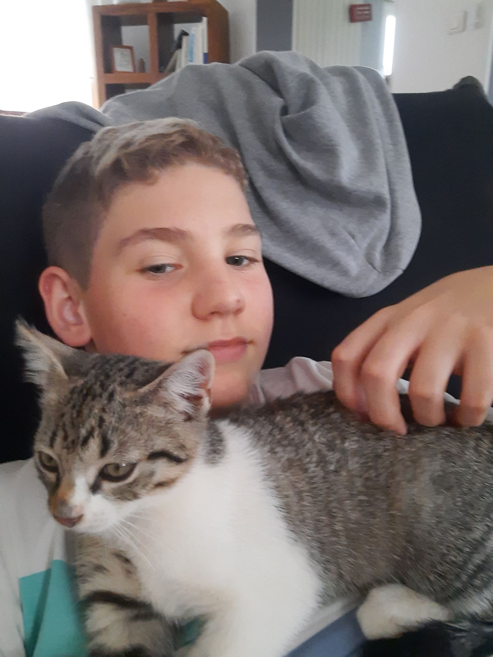 image-8