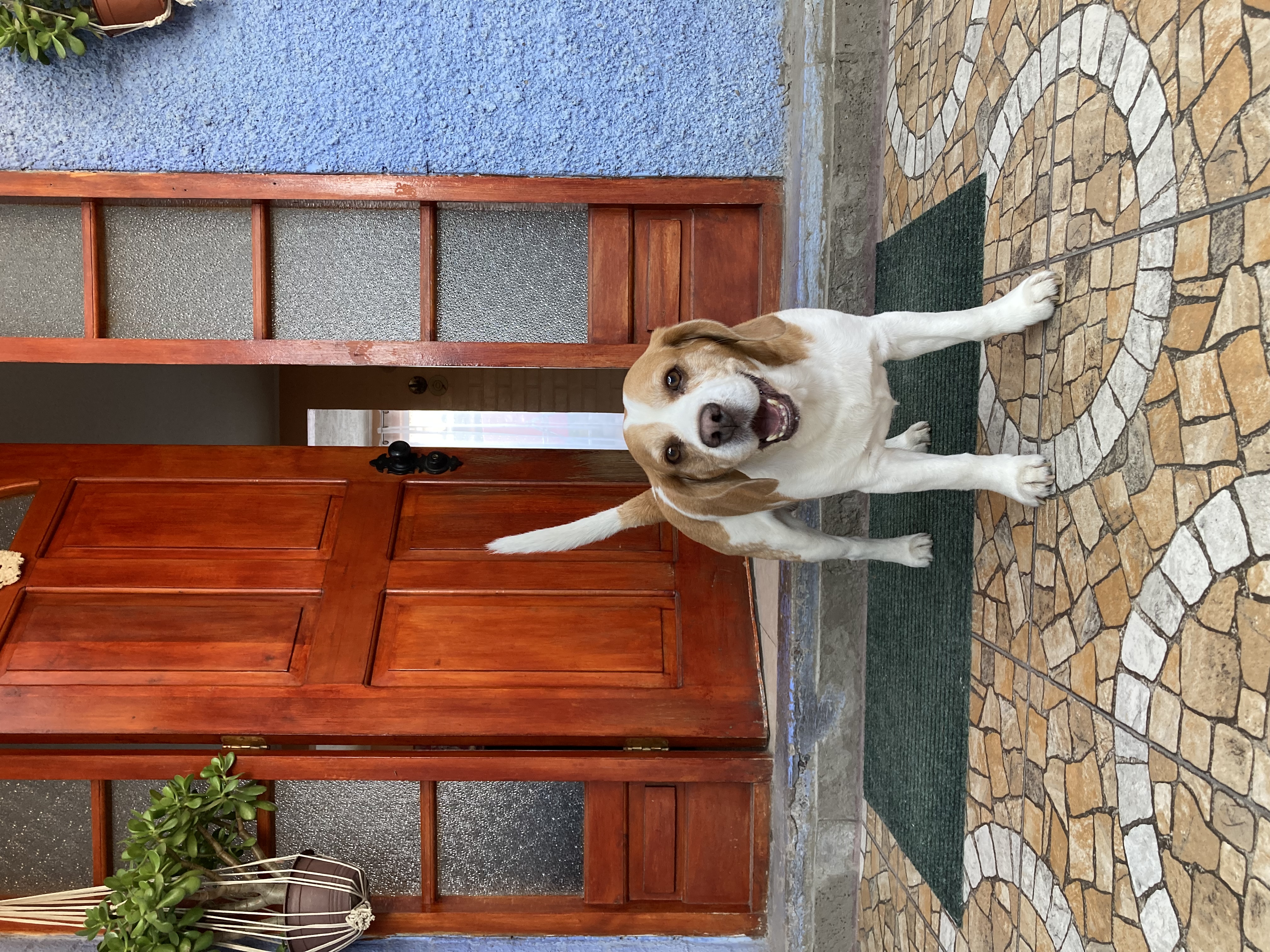 image-8
