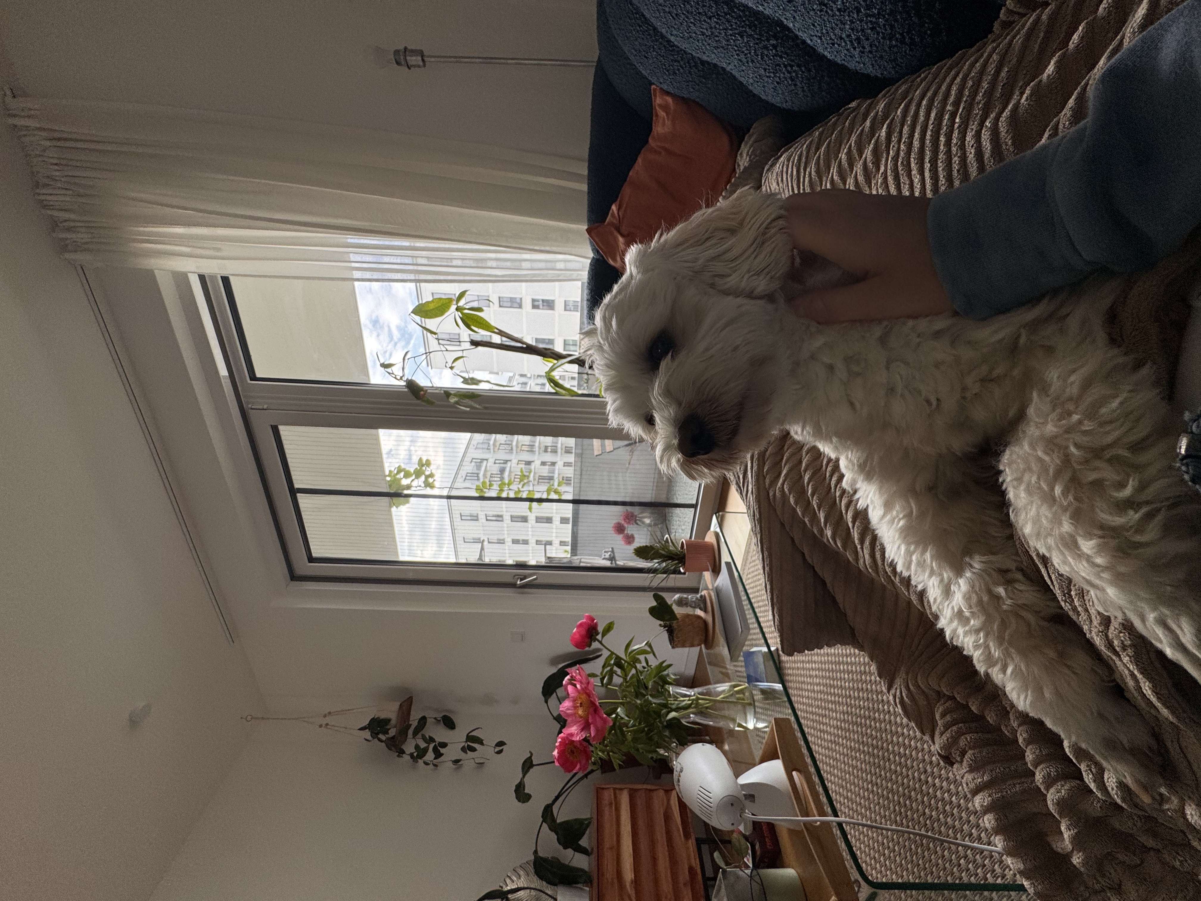 image-15