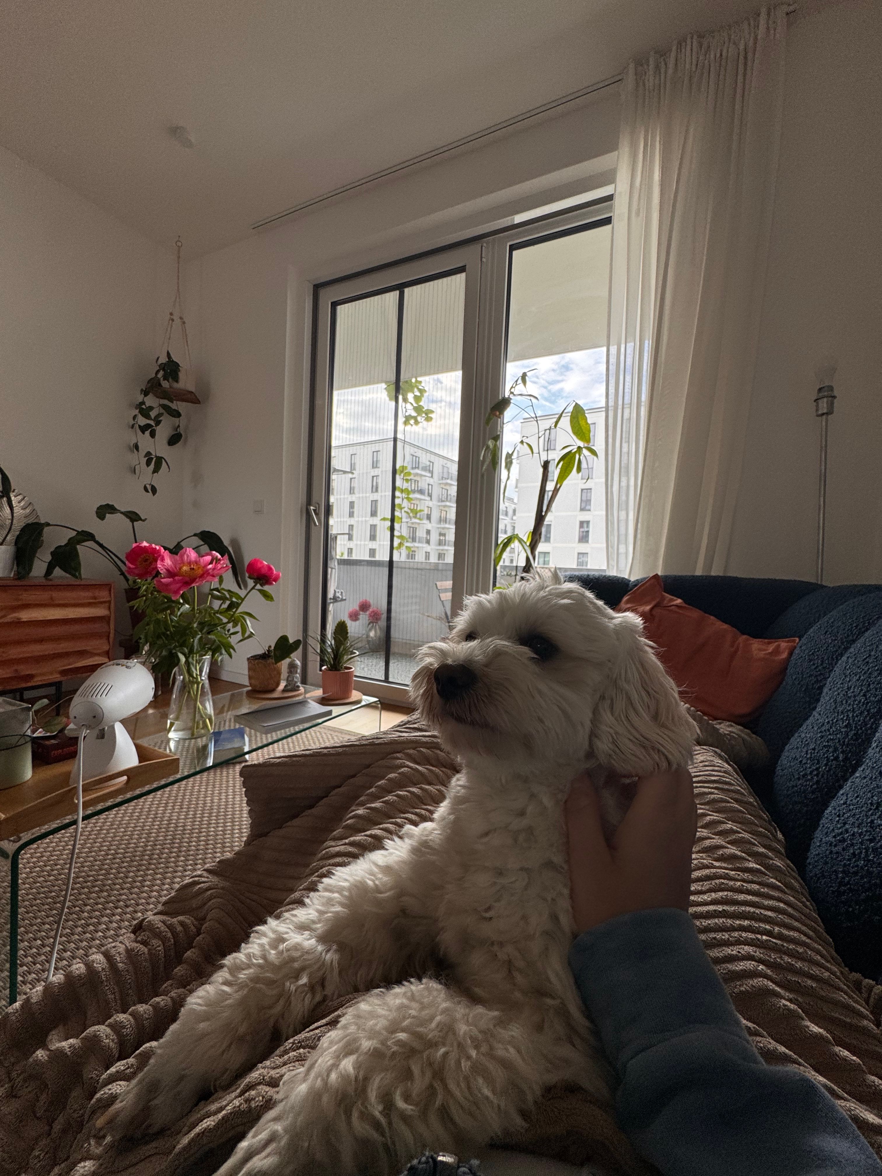 image-15