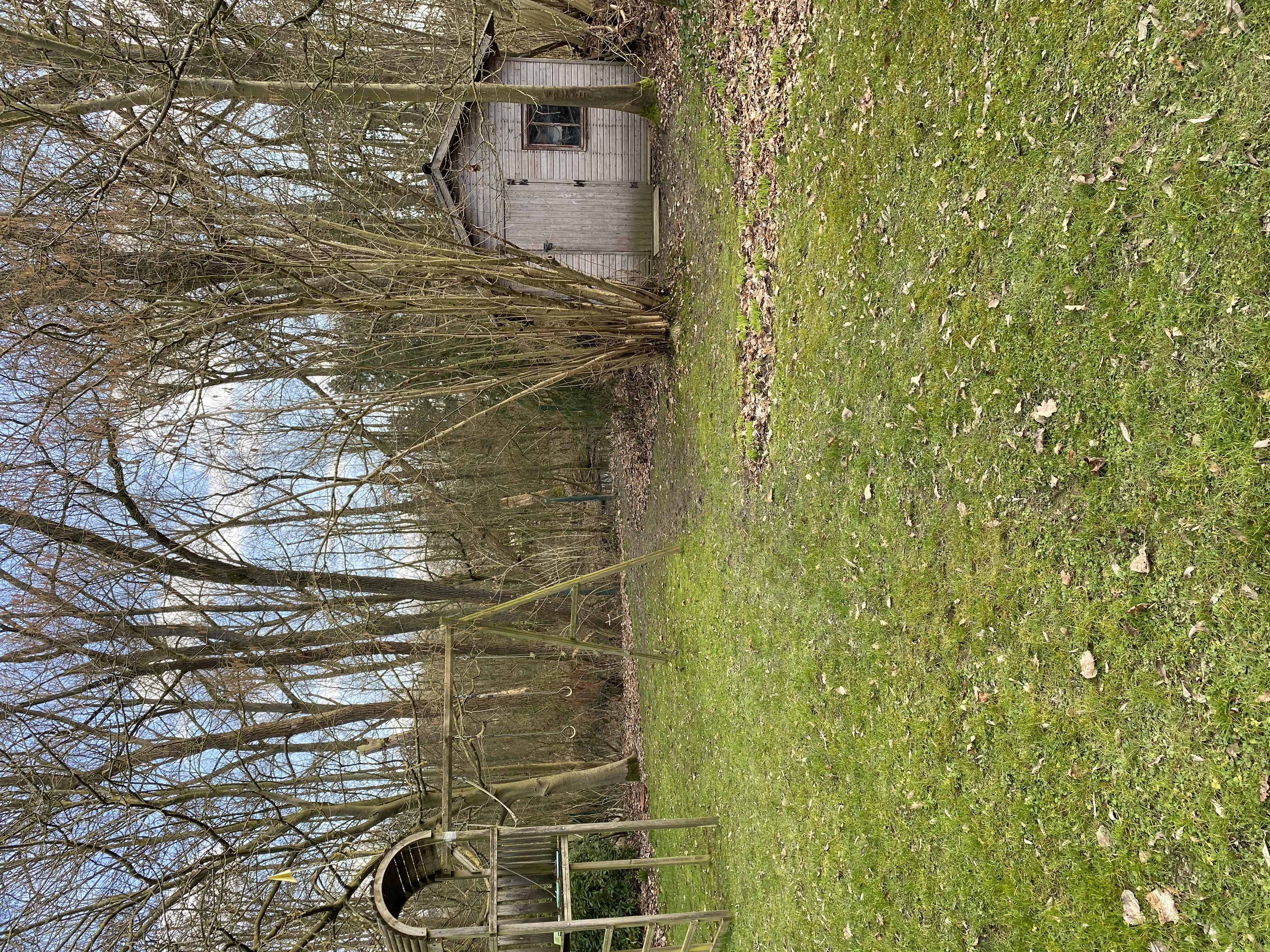 image-7