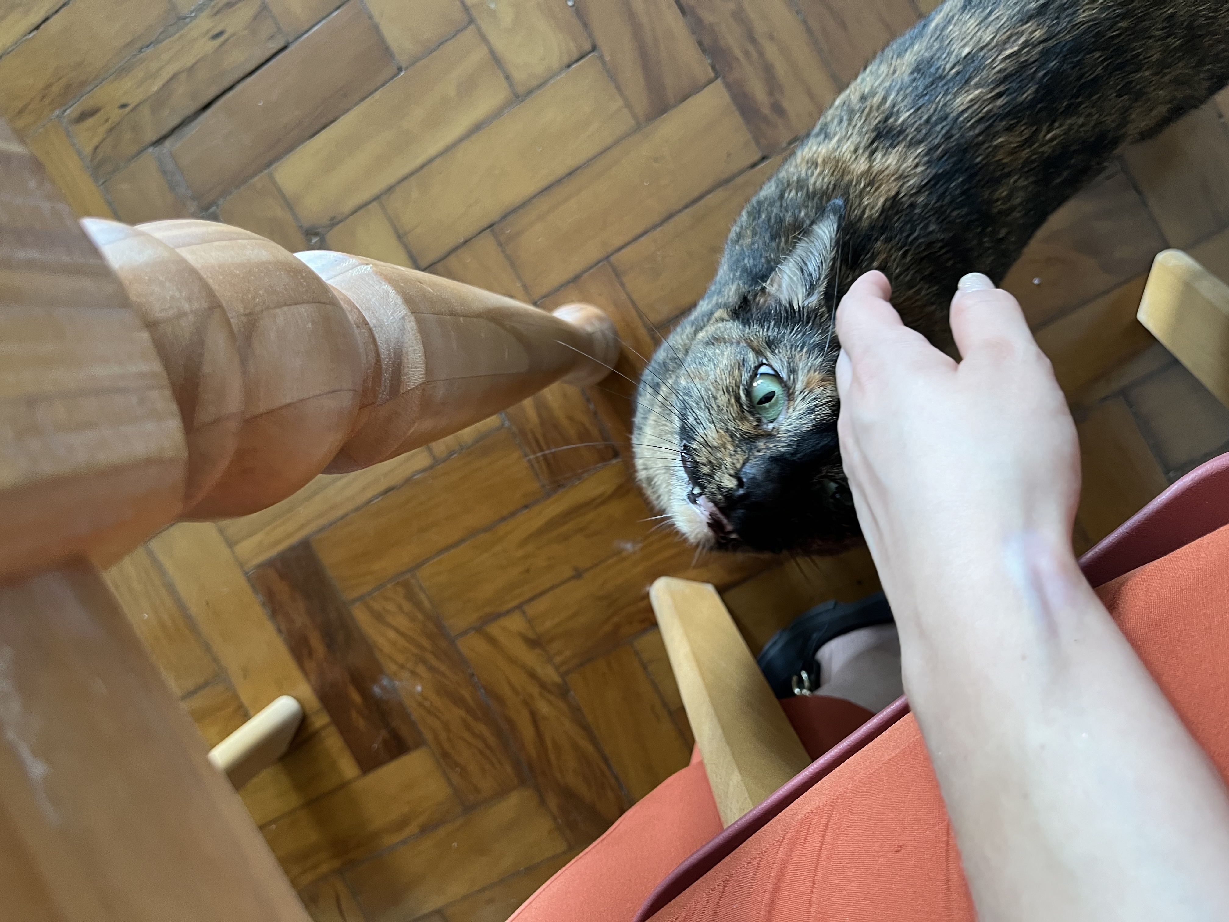 image-13