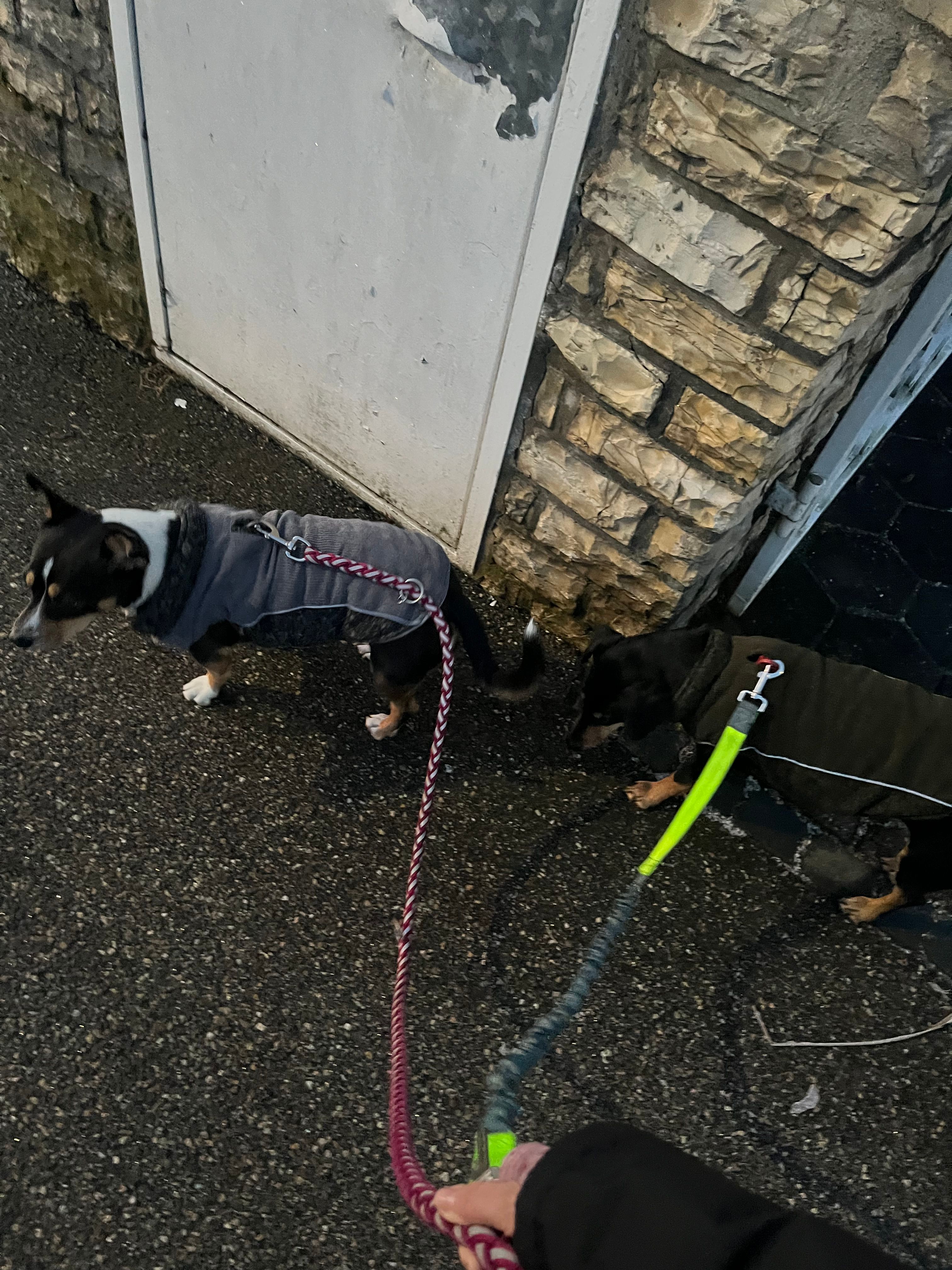image-12