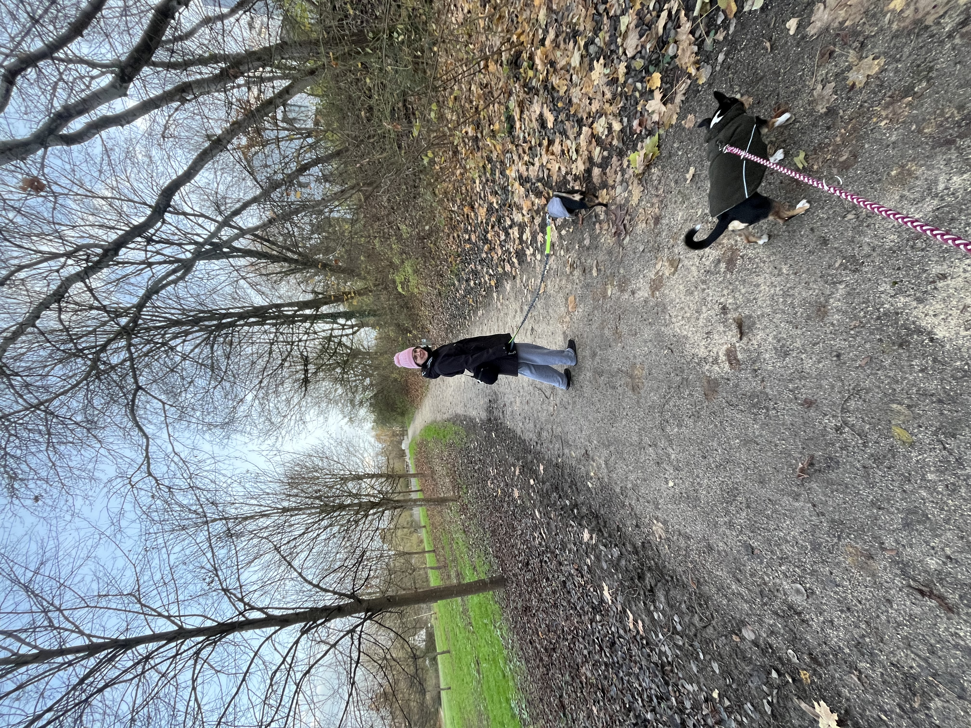 image-14