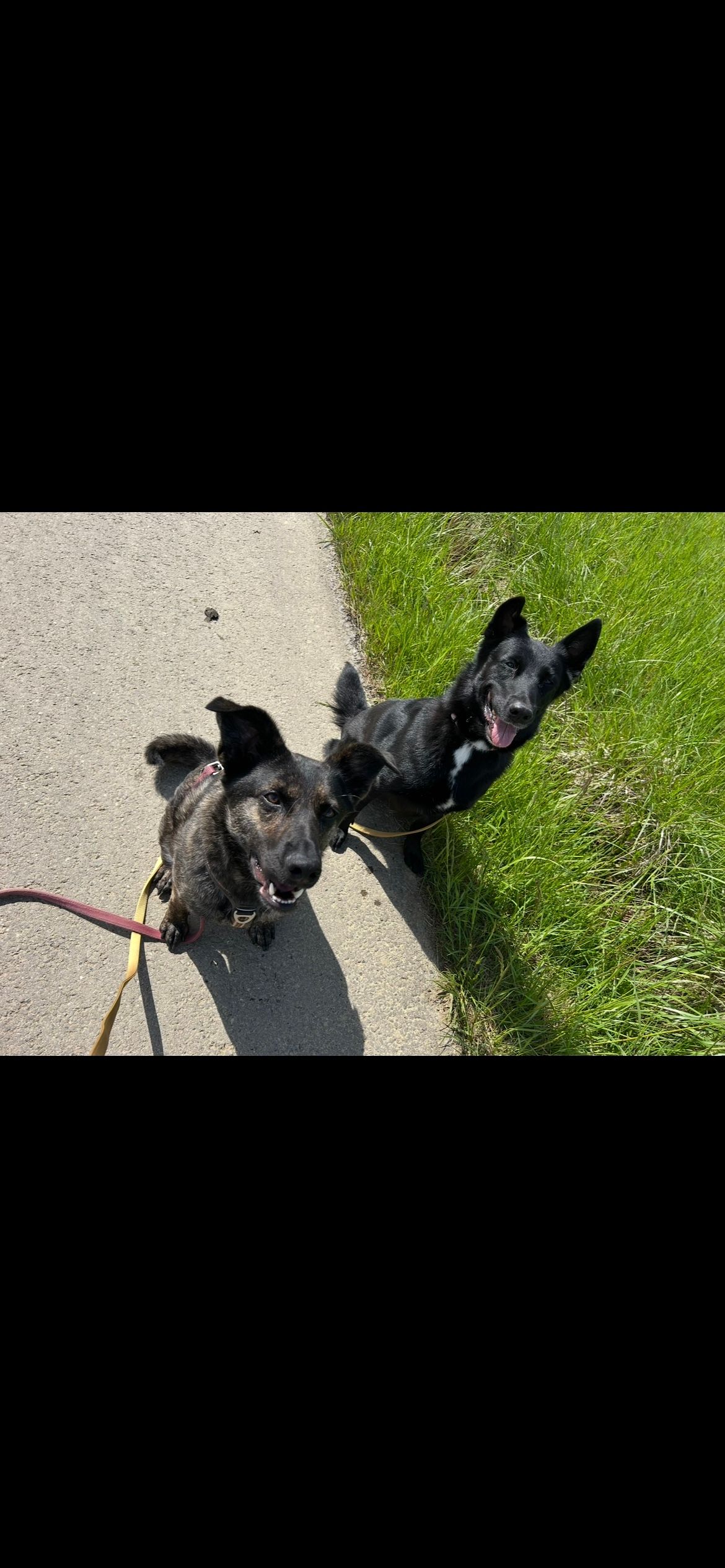 image-10
