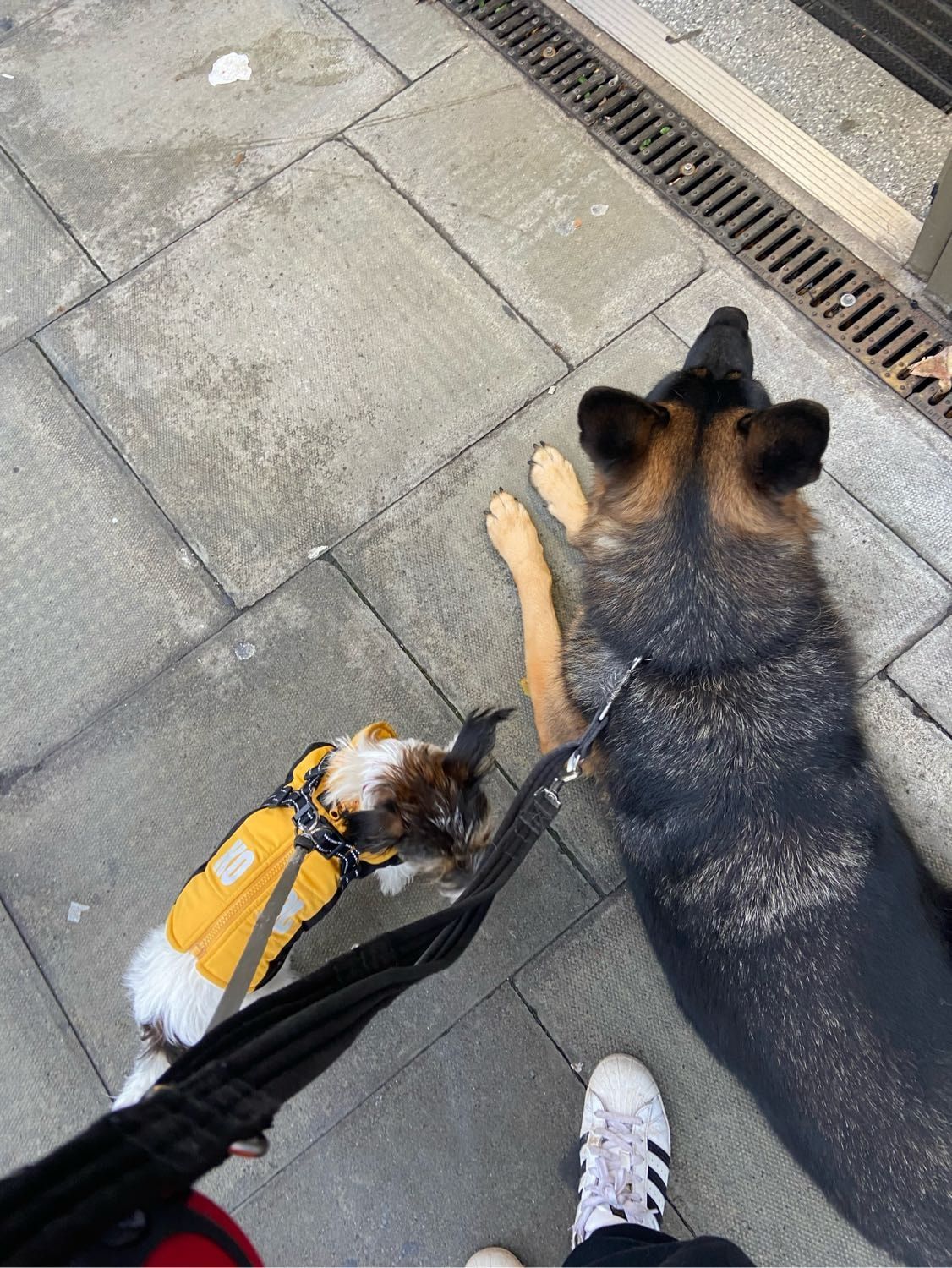 image-3