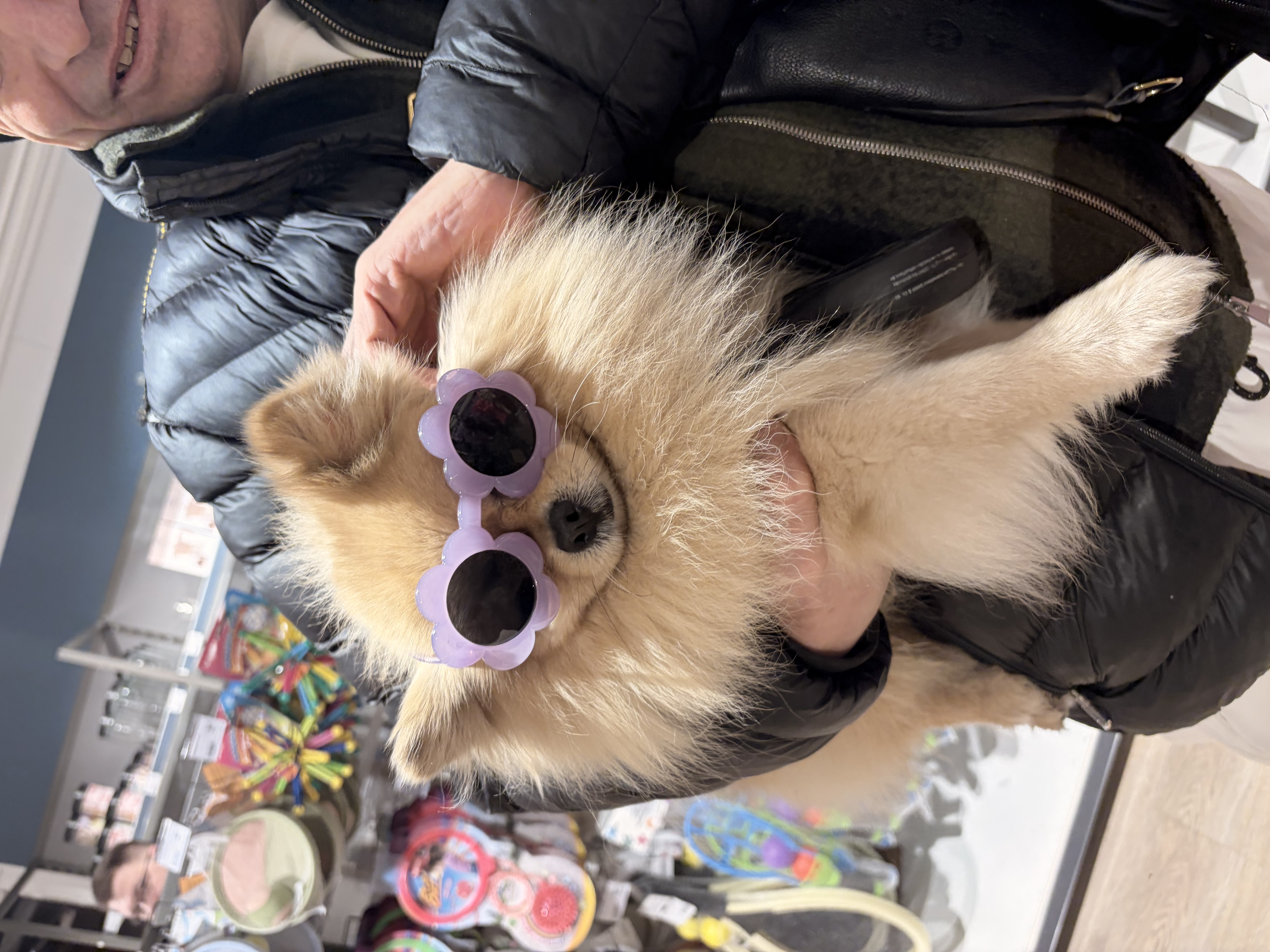 image-9