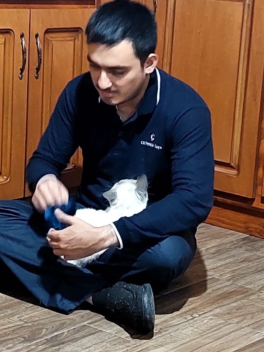 image-7