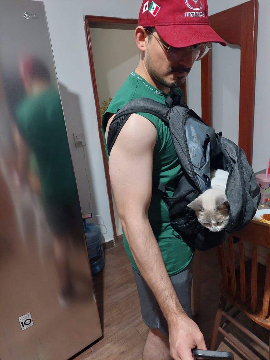 image-8