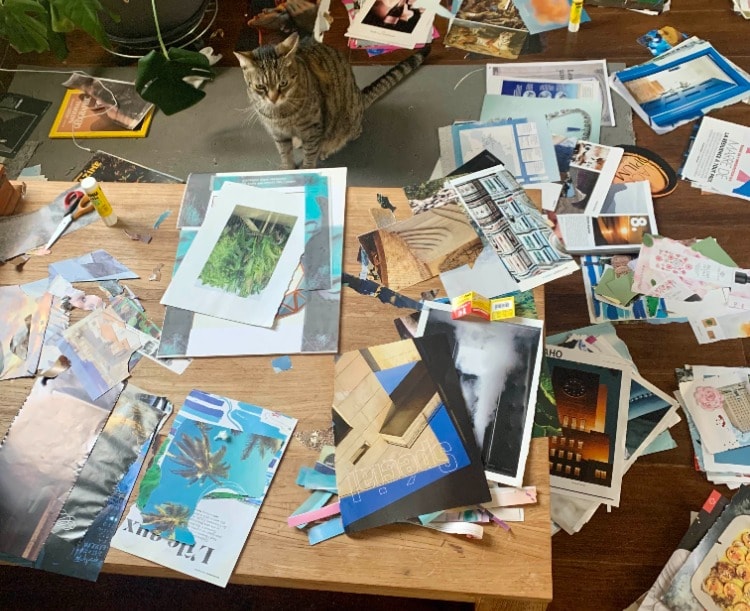 image-7