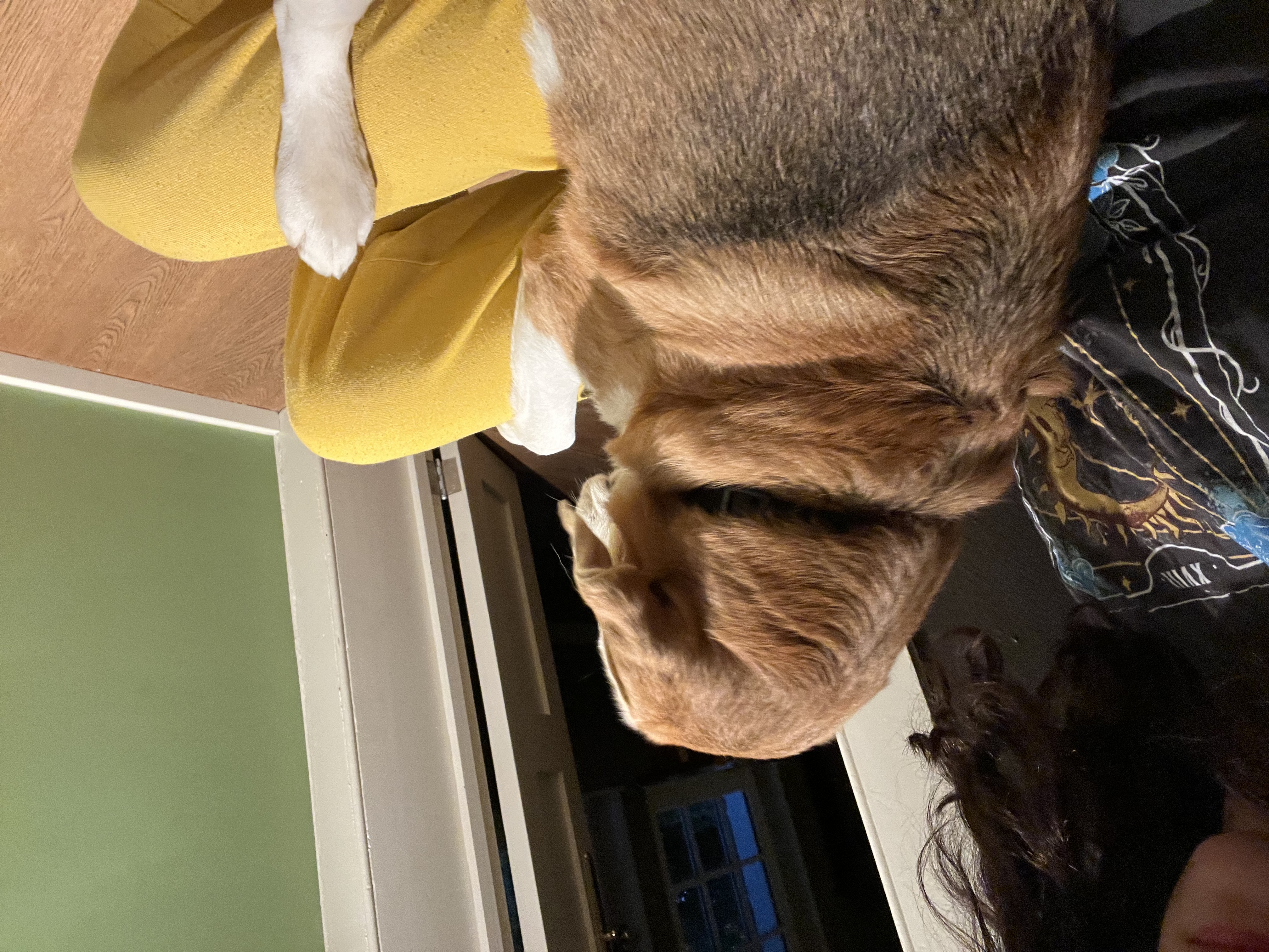 image-10