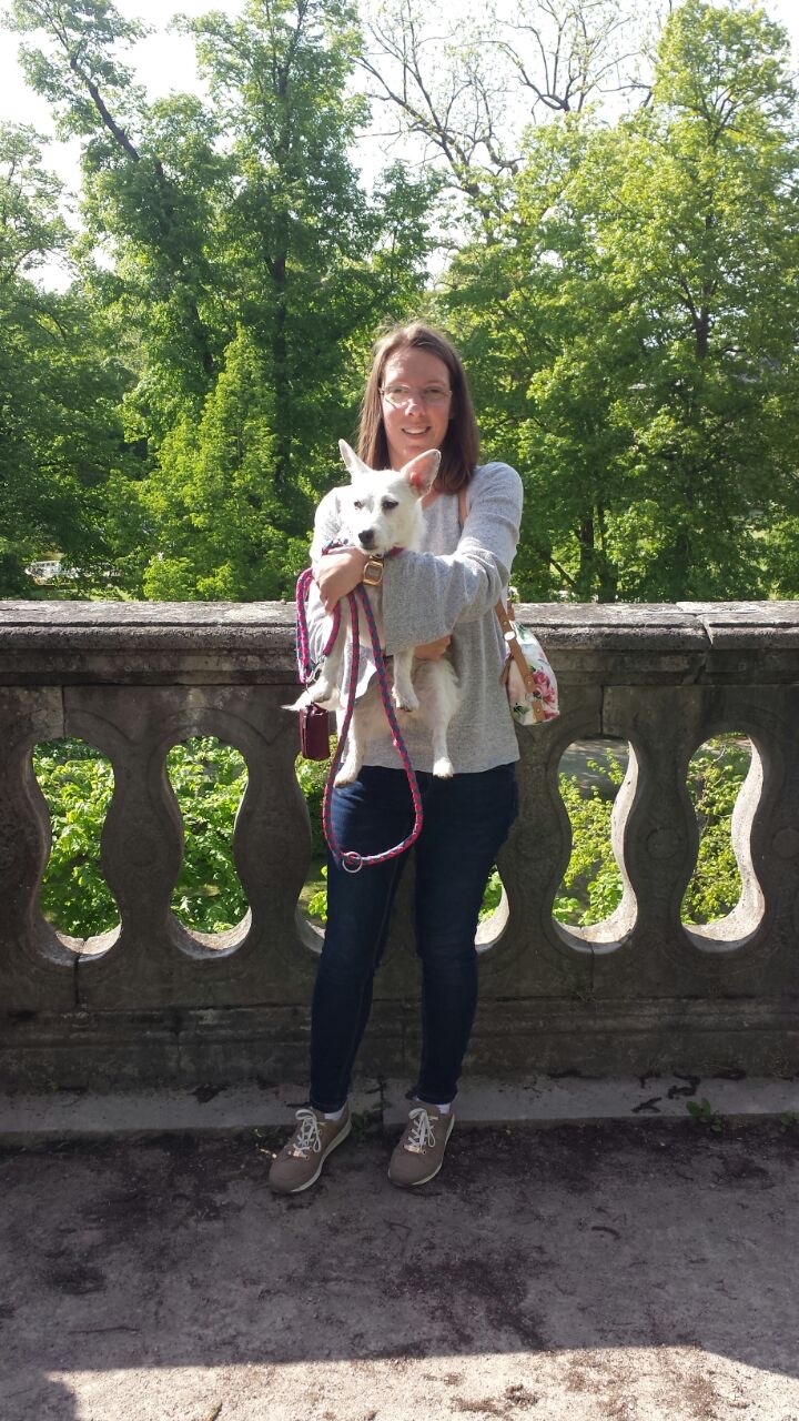 image-8