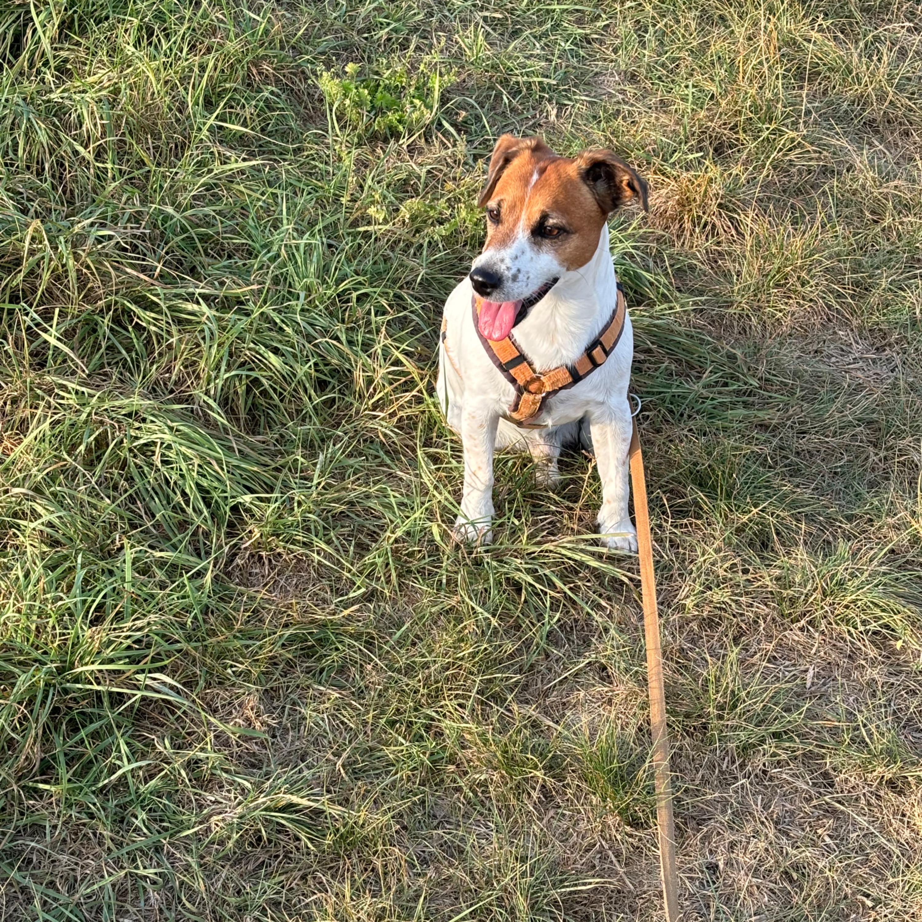 Sam