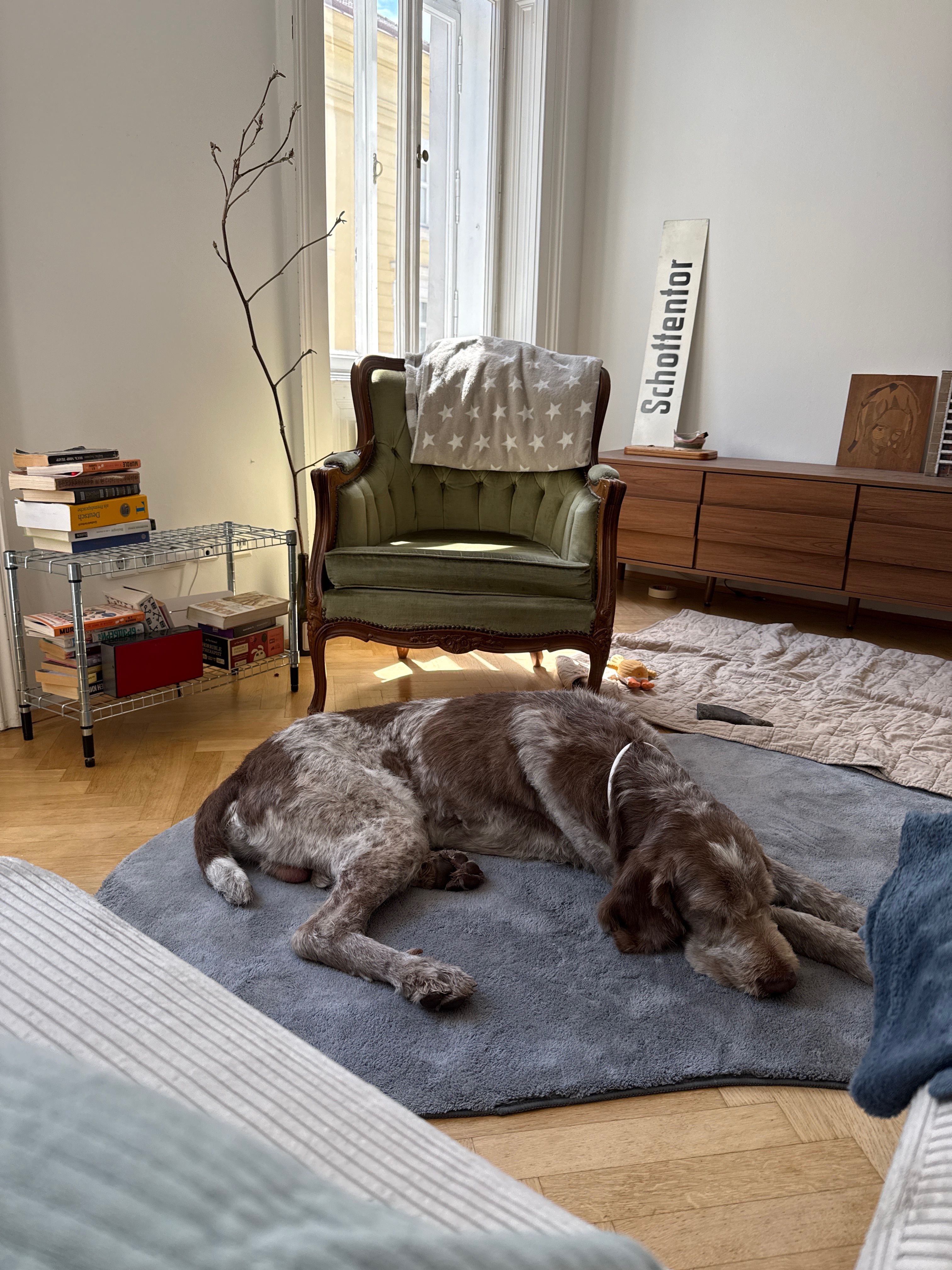 image-19