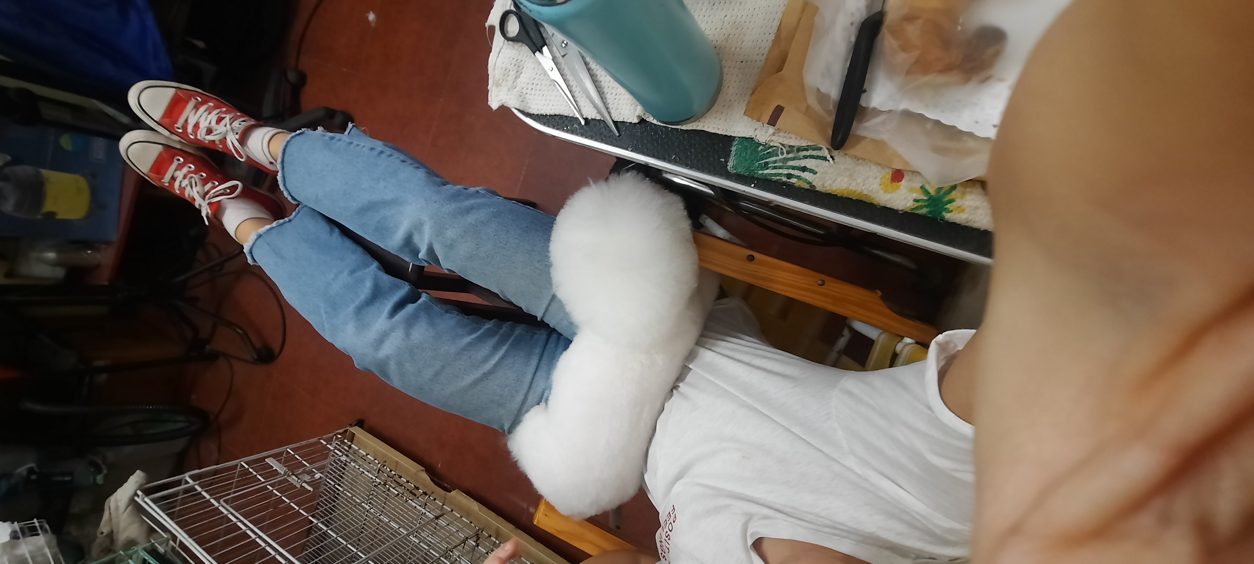 image-3