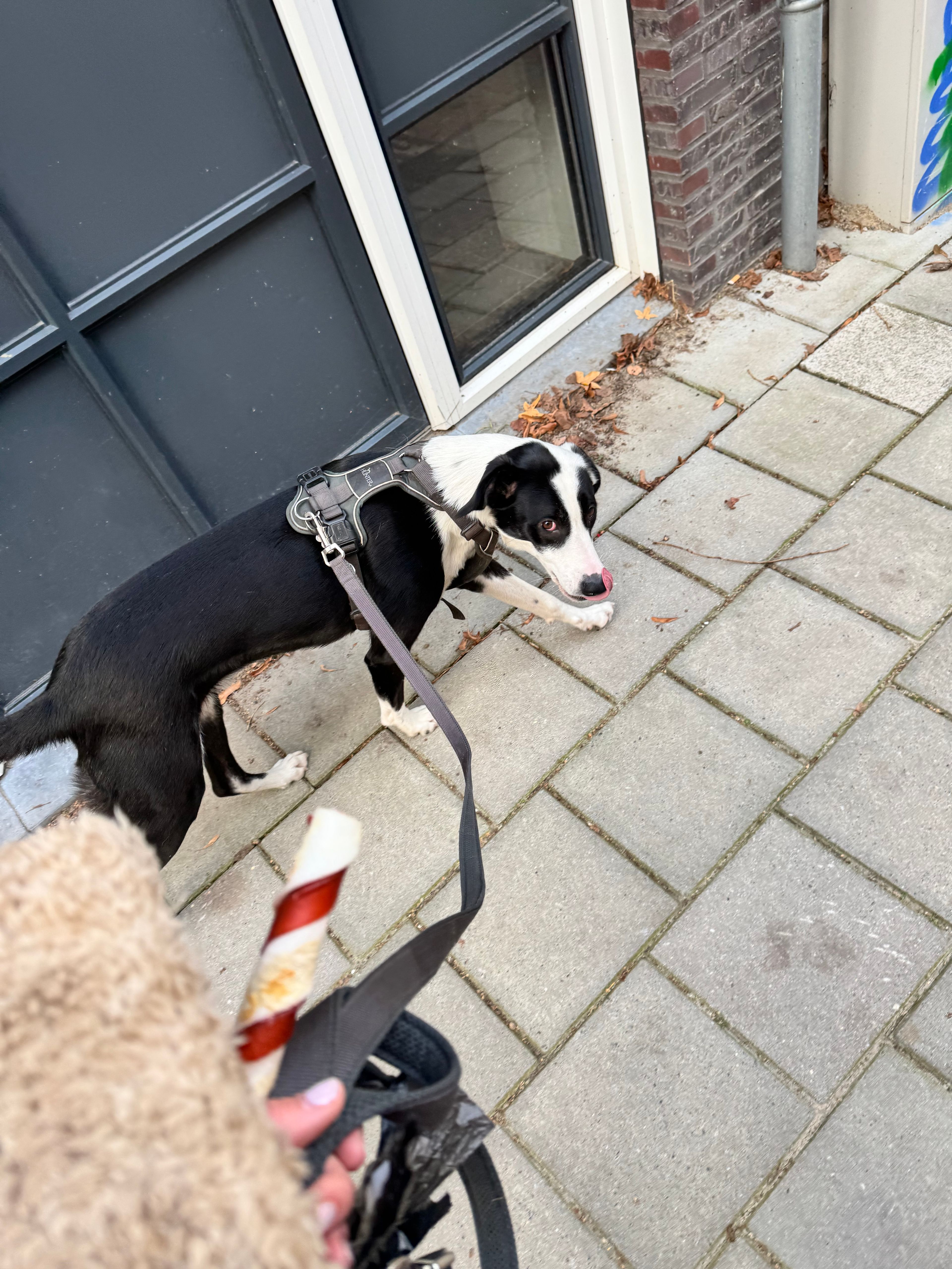 image-13