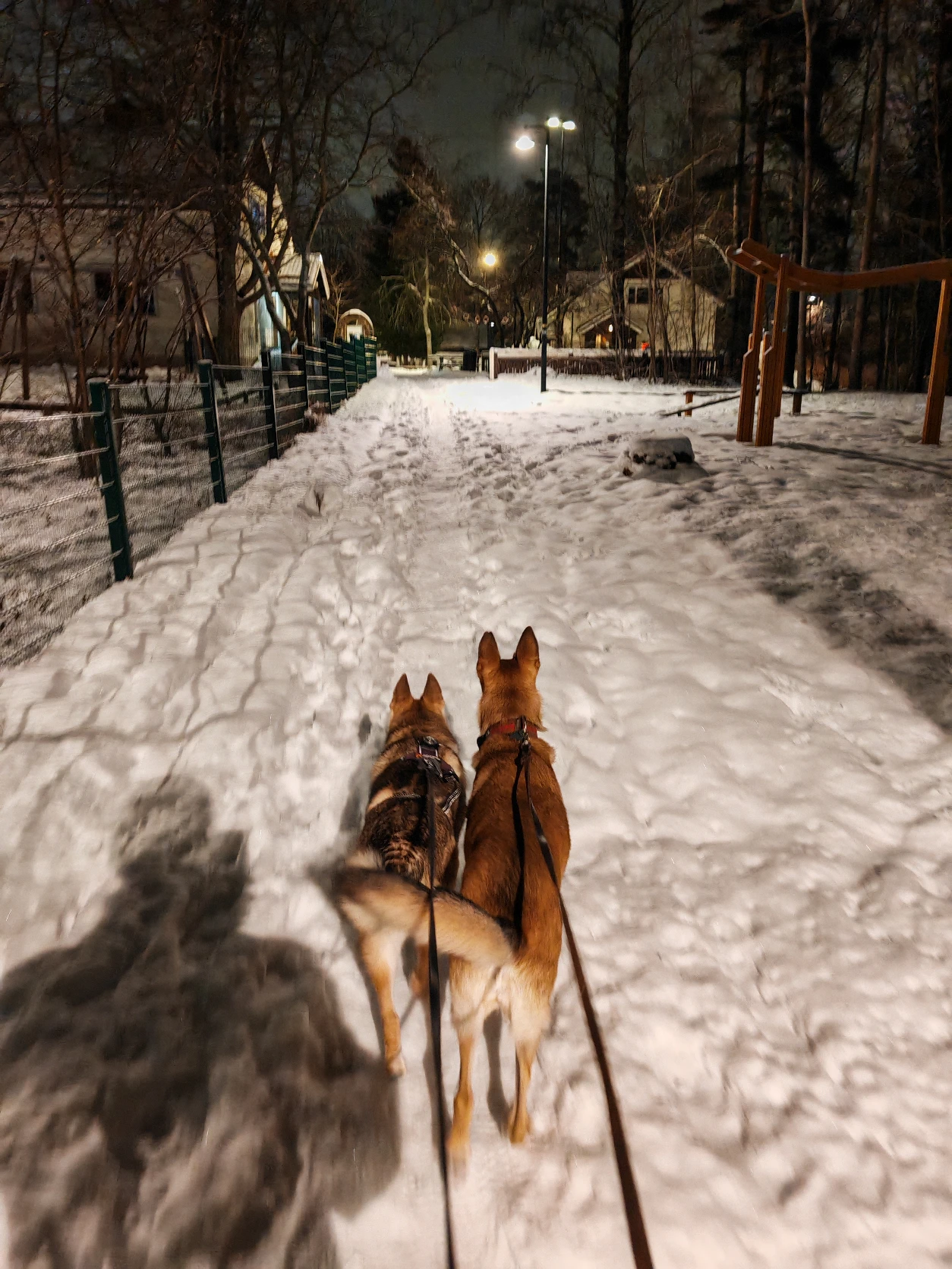 image-7