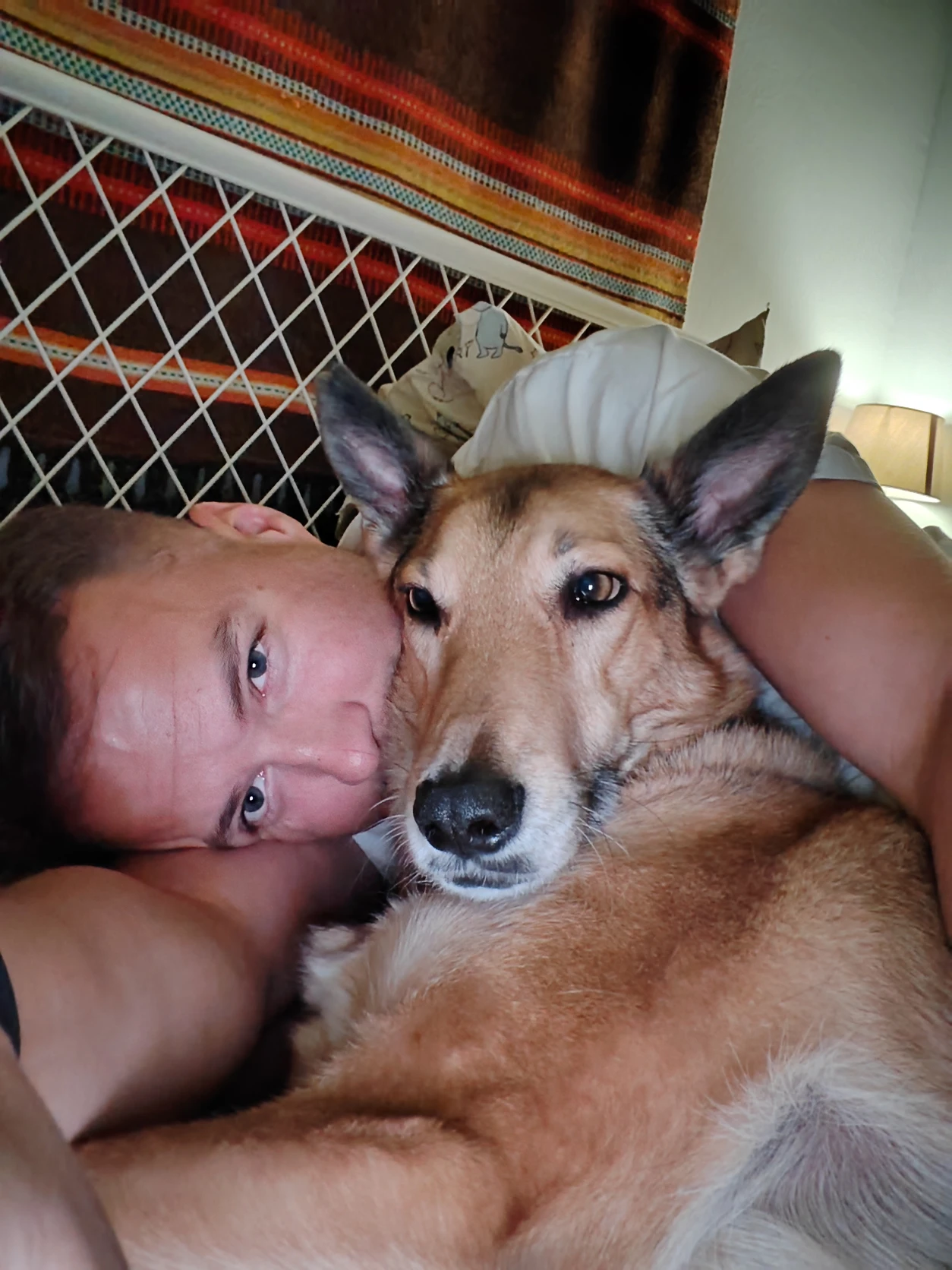 image-6