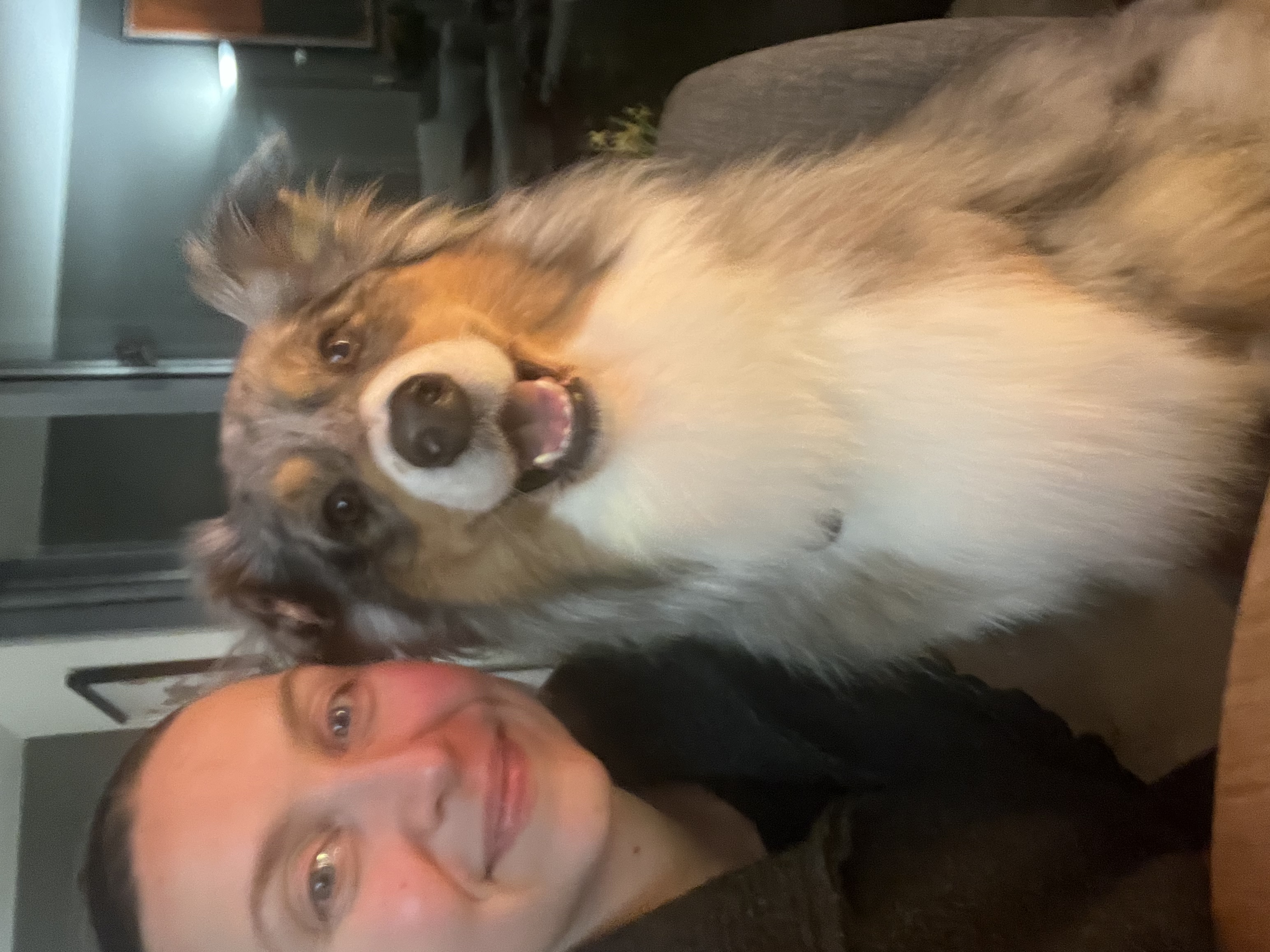 image-9