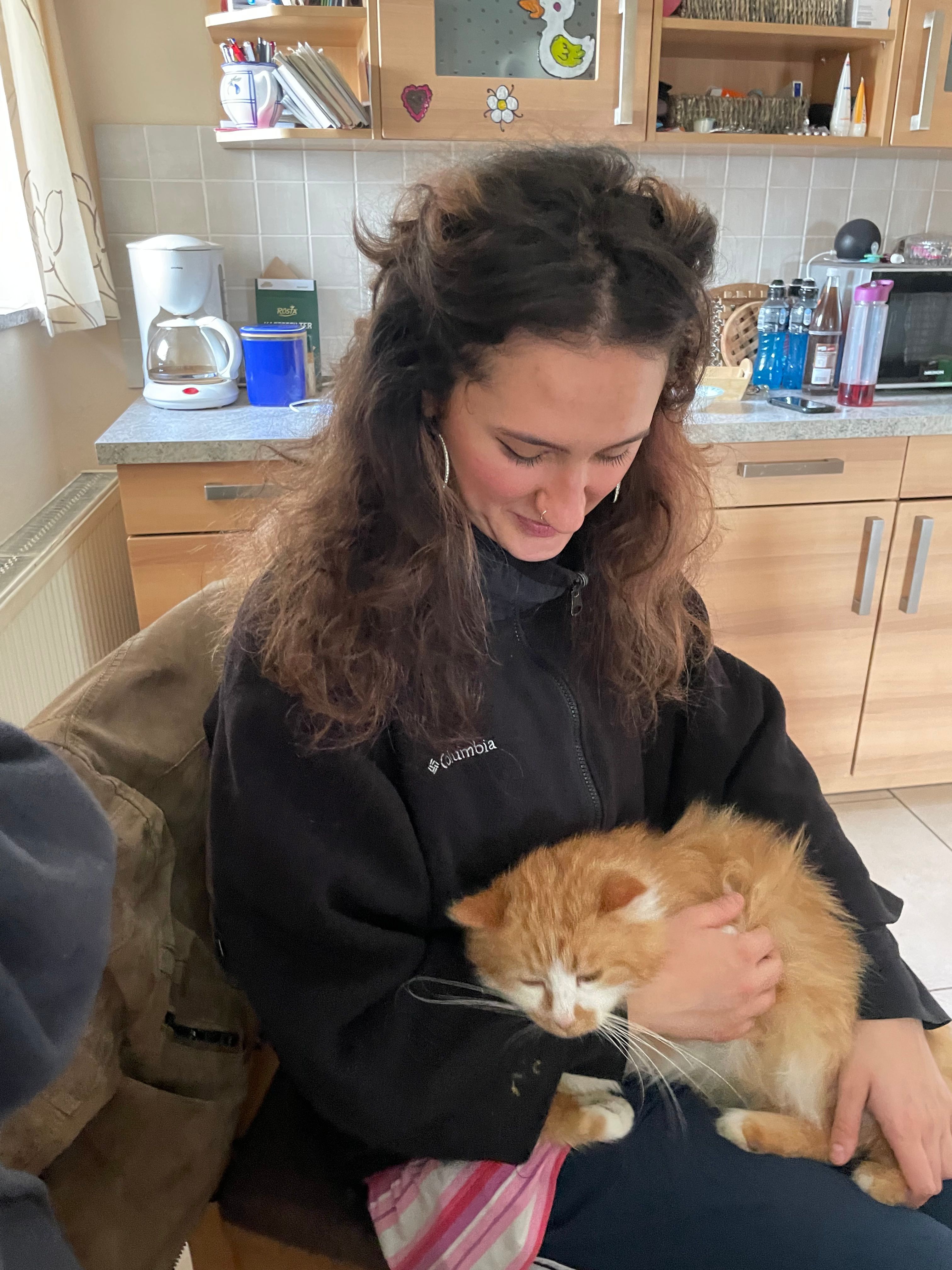 image-4