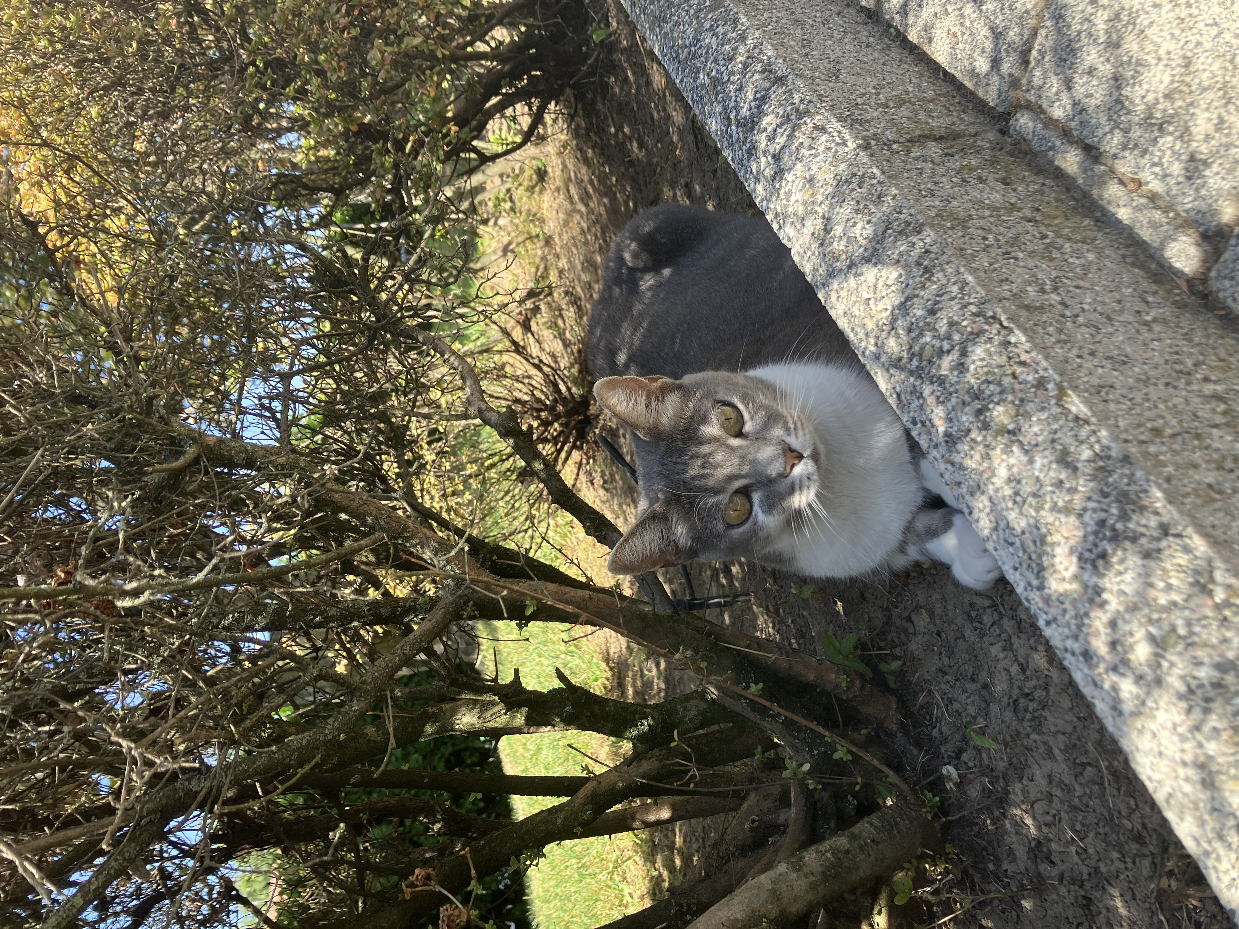 image-6