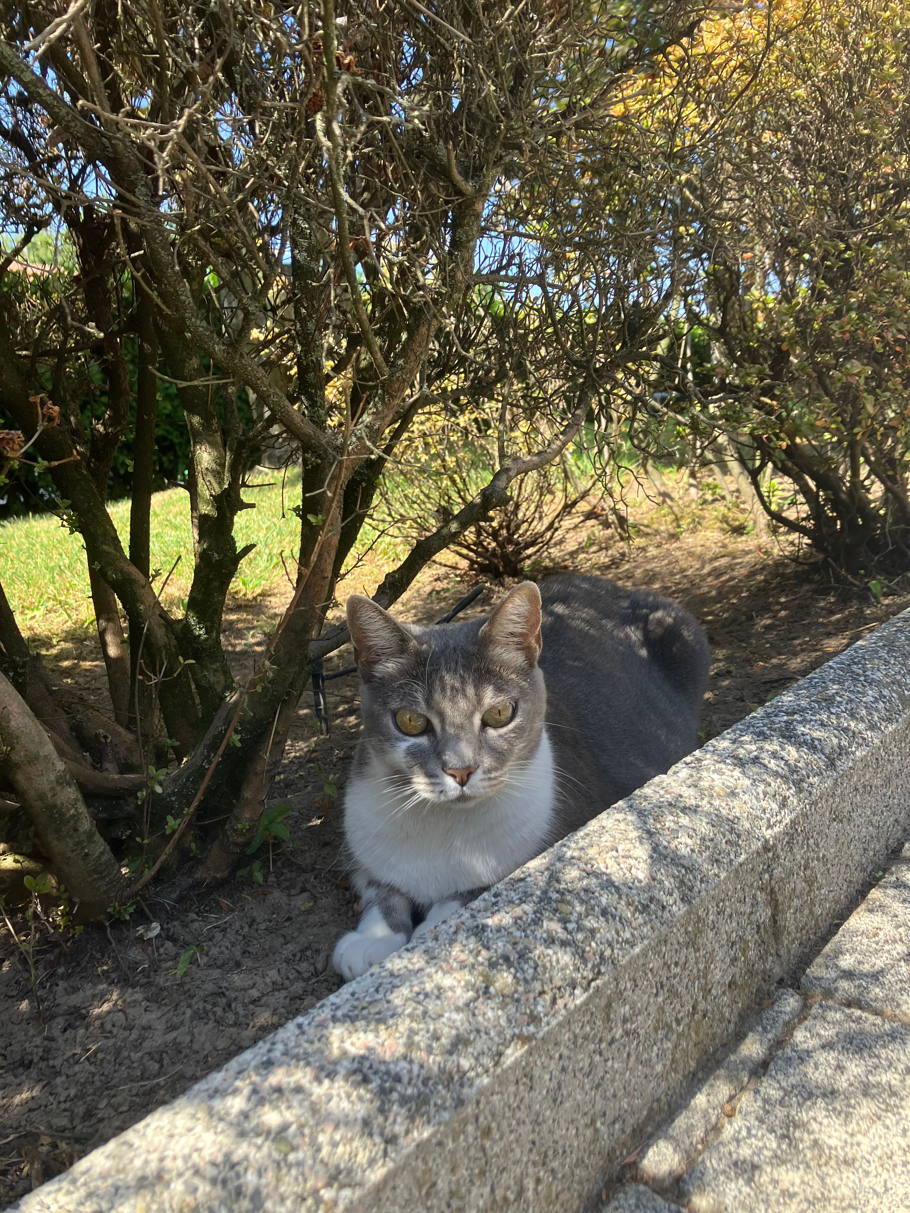 image-6