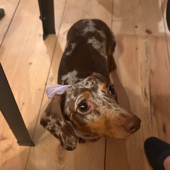 Penny