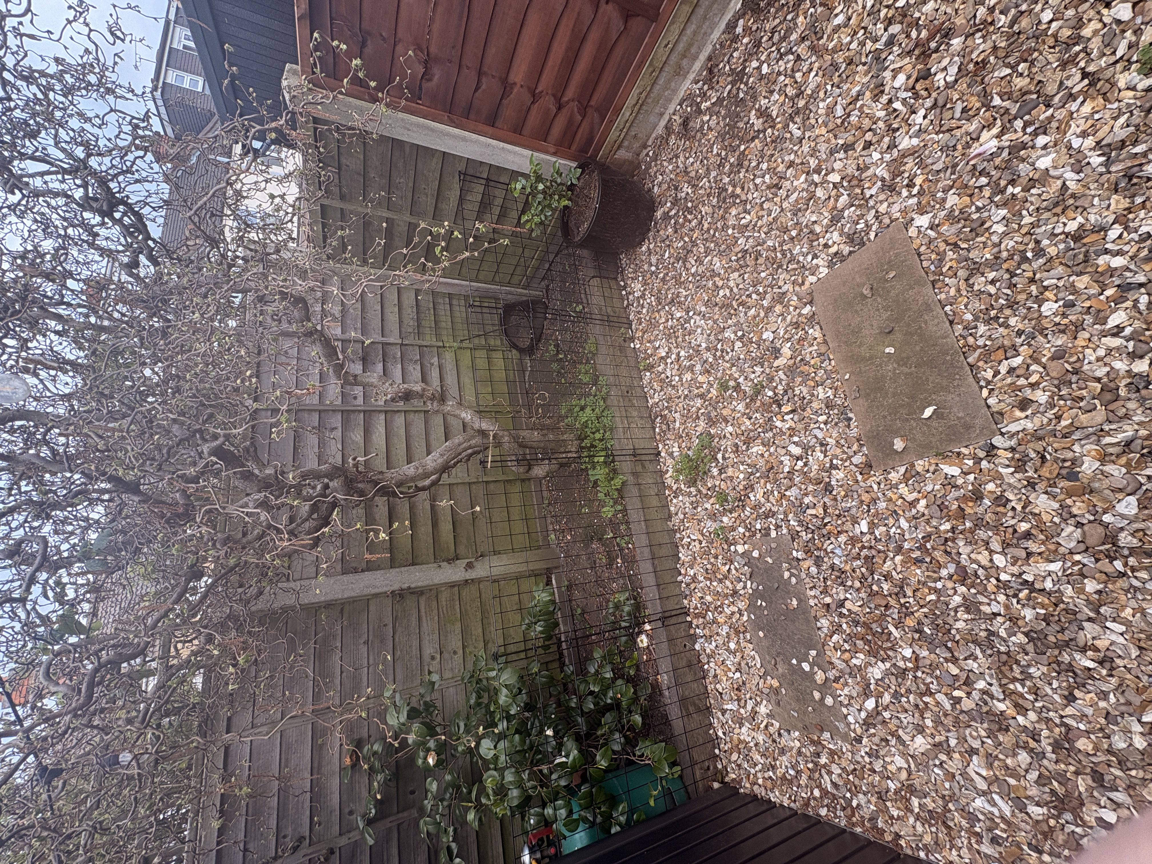 image-20