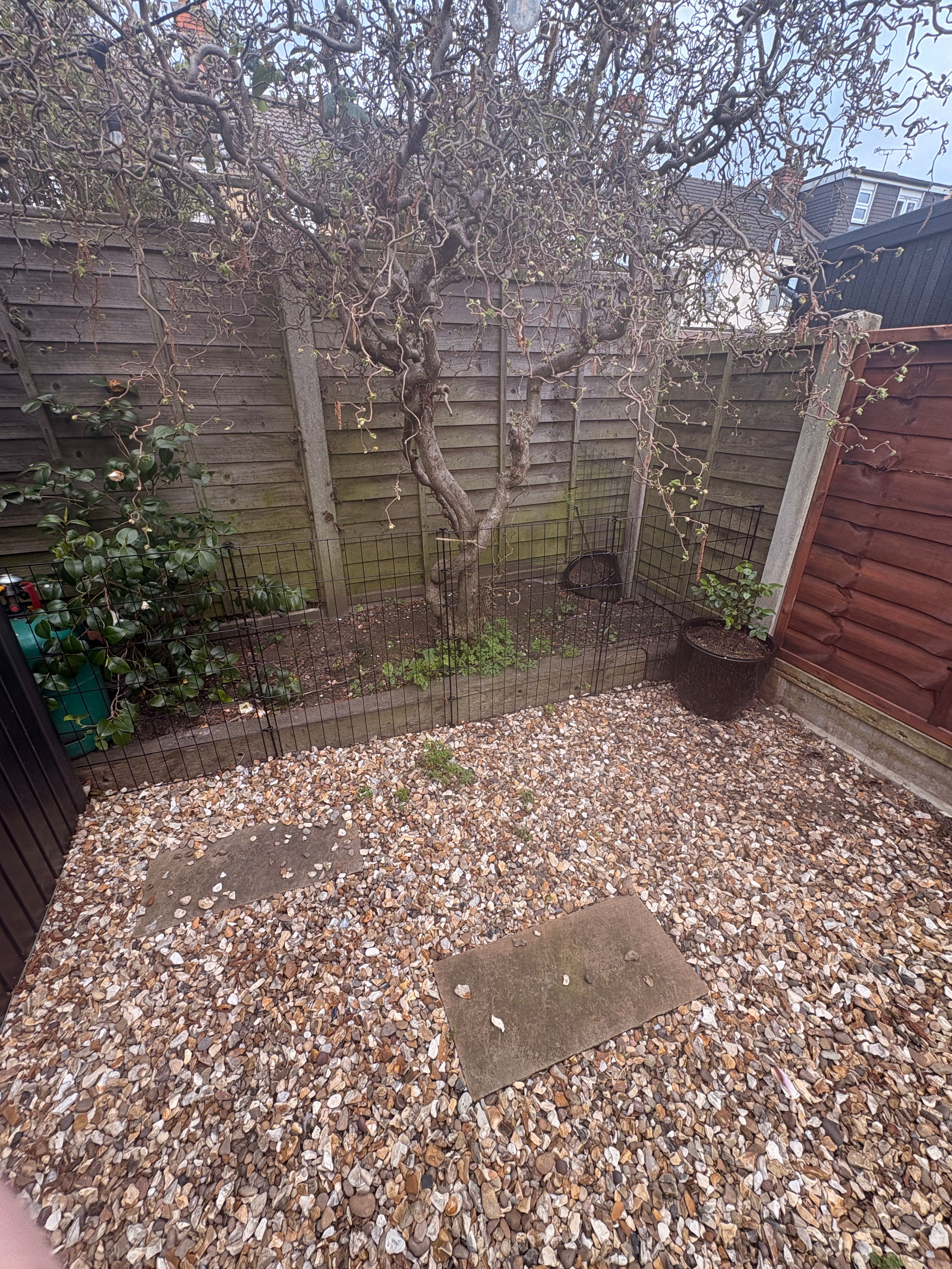 image-20