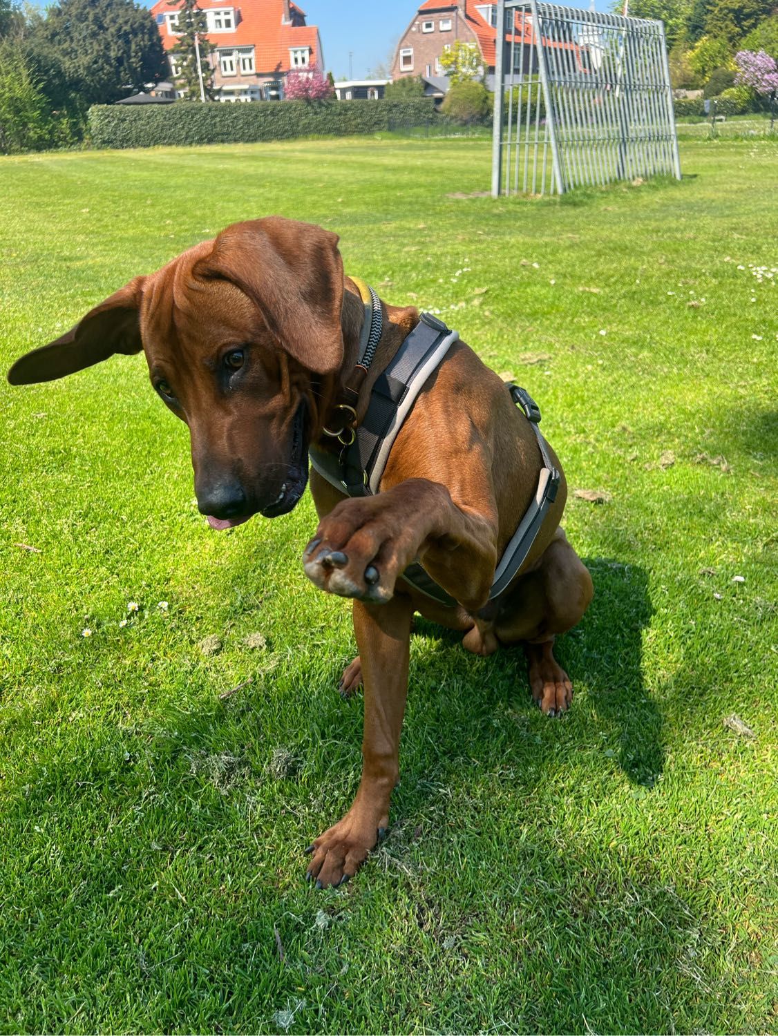 image-9