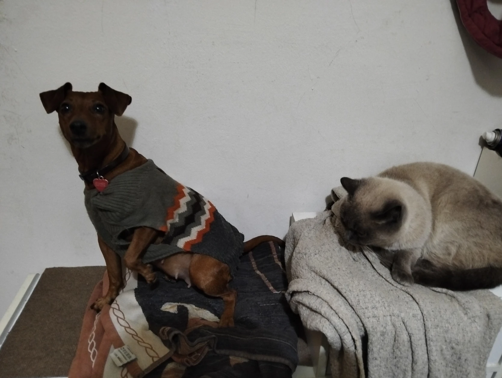 image-18