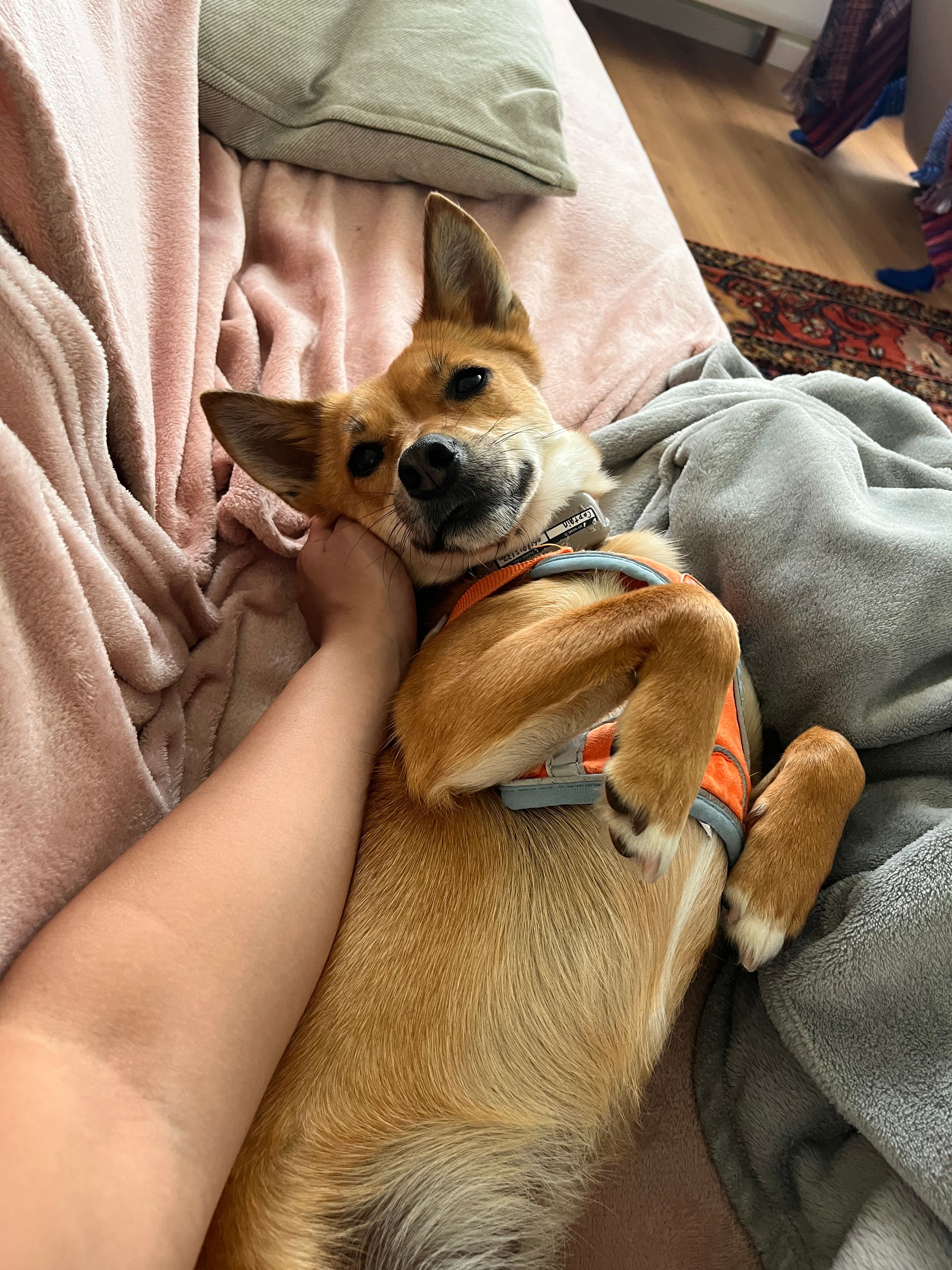 image-49