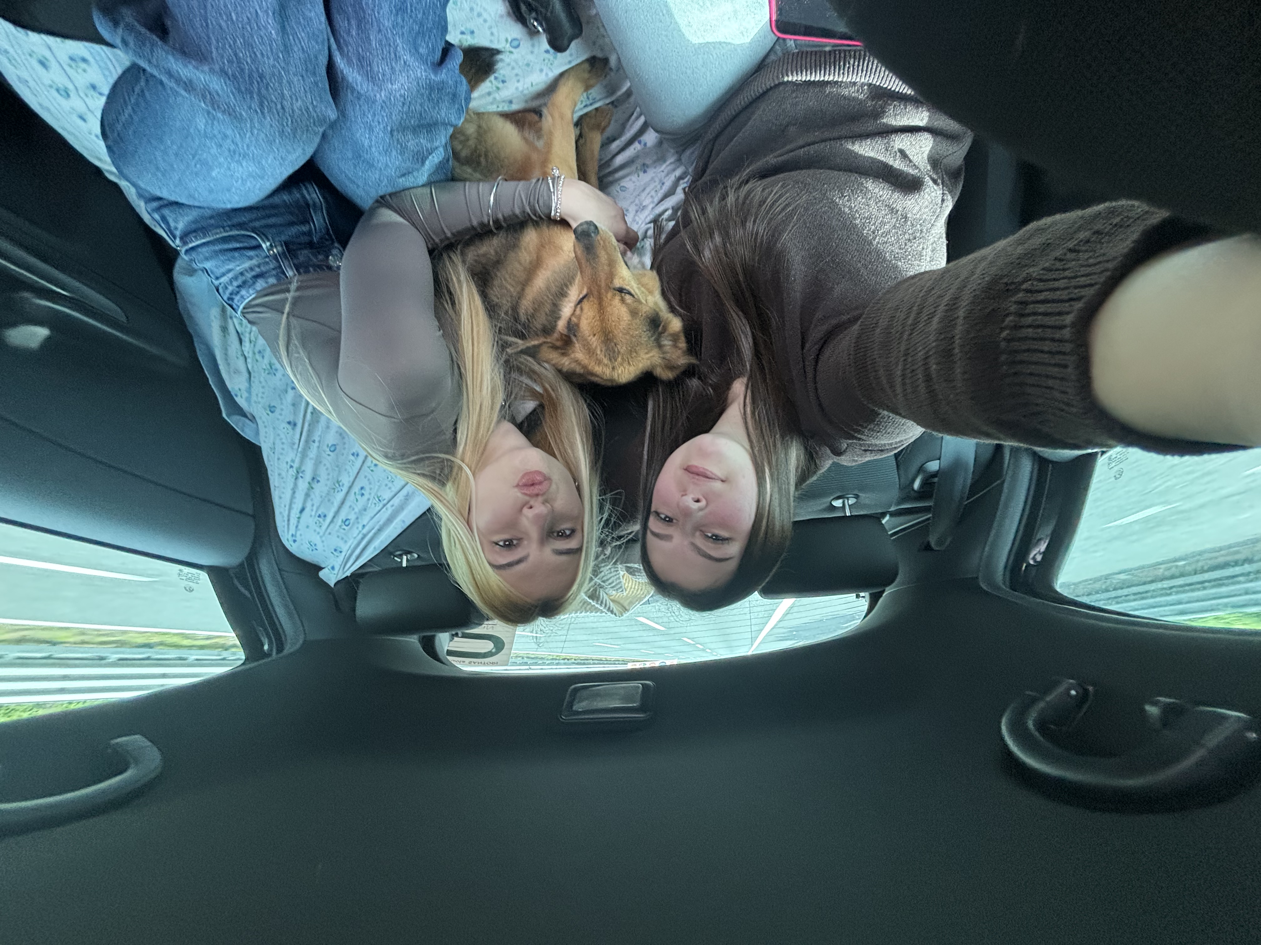 image-3