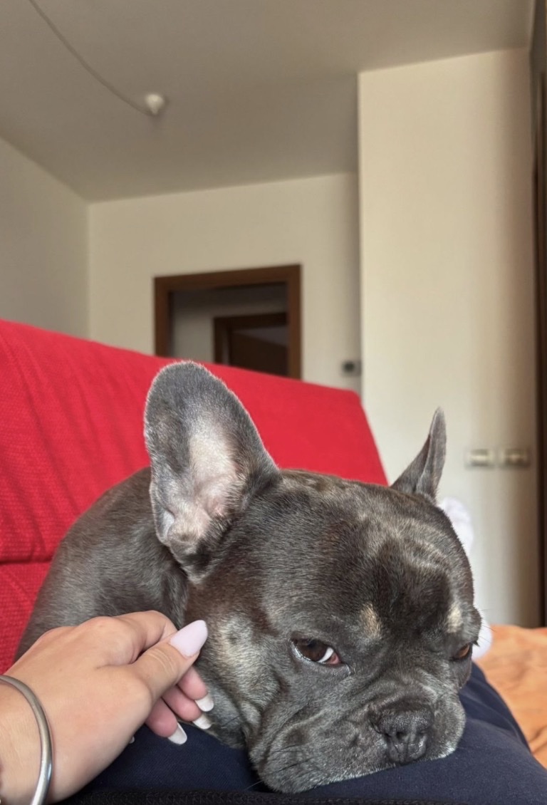 image-7