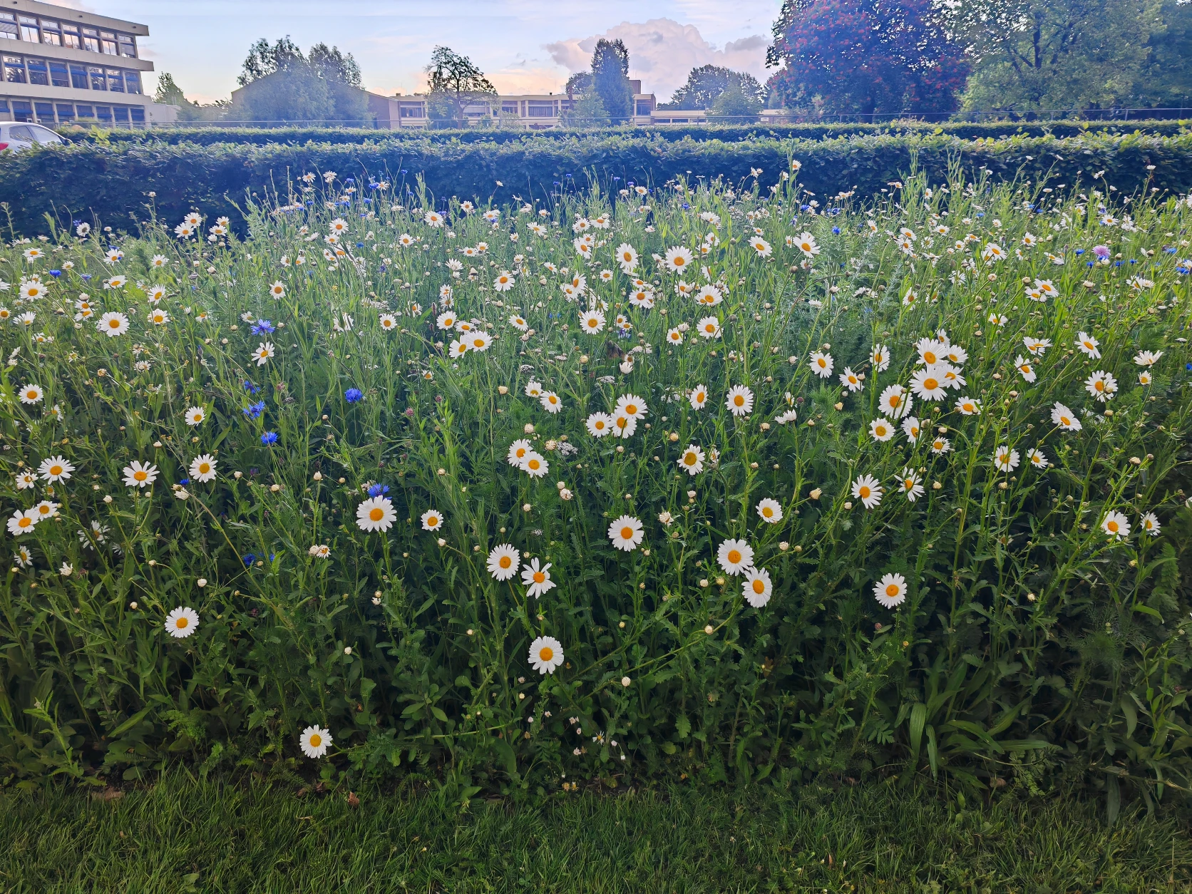 image-9