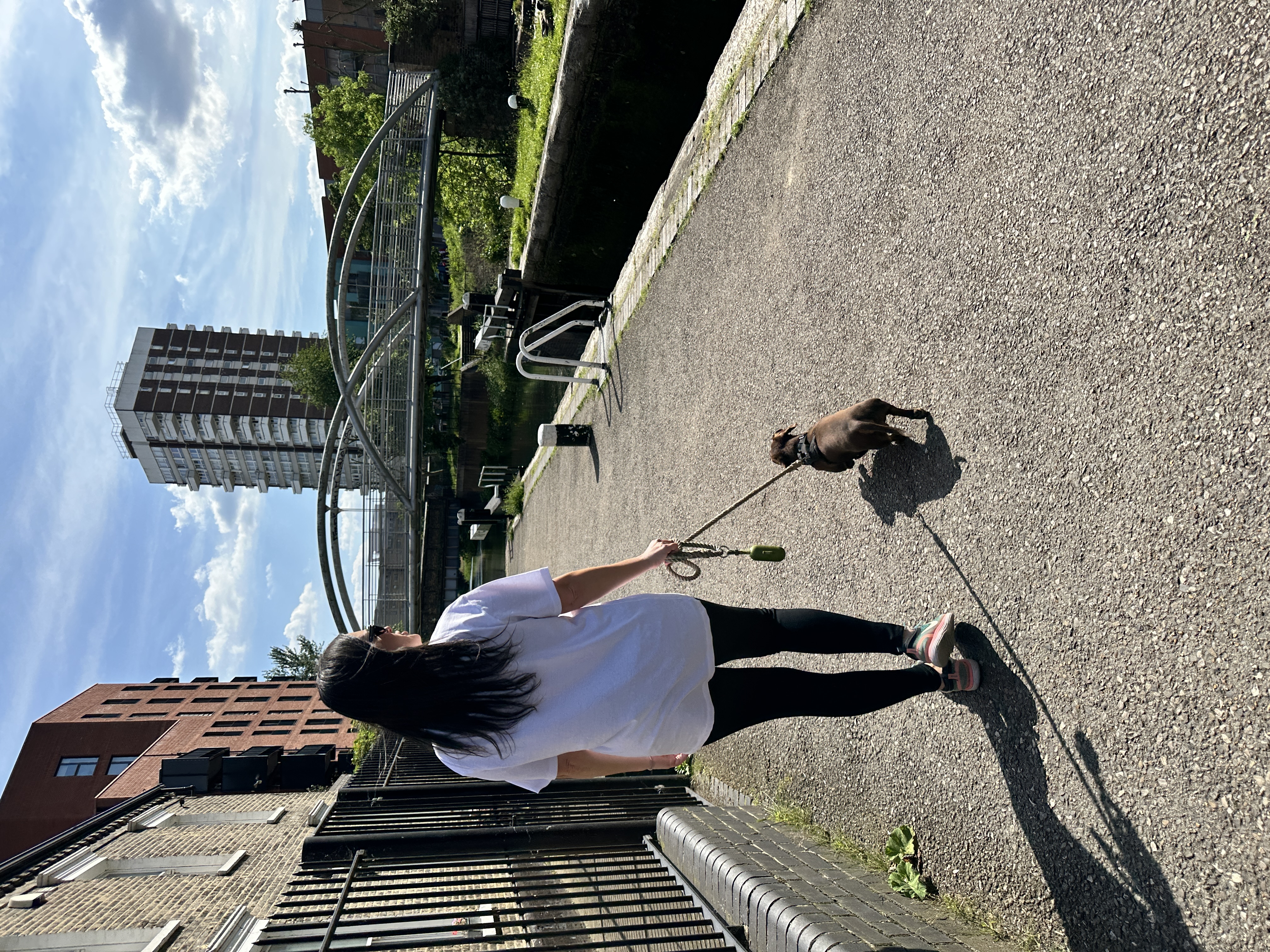 image-20
