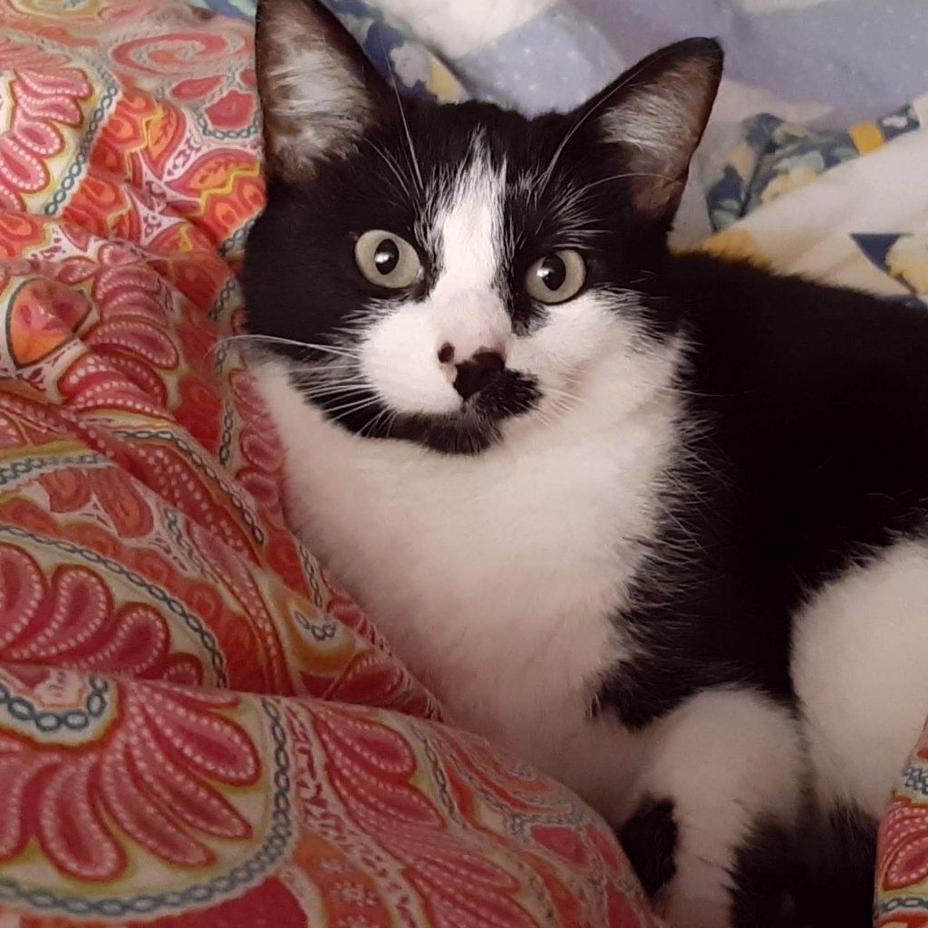 Coco