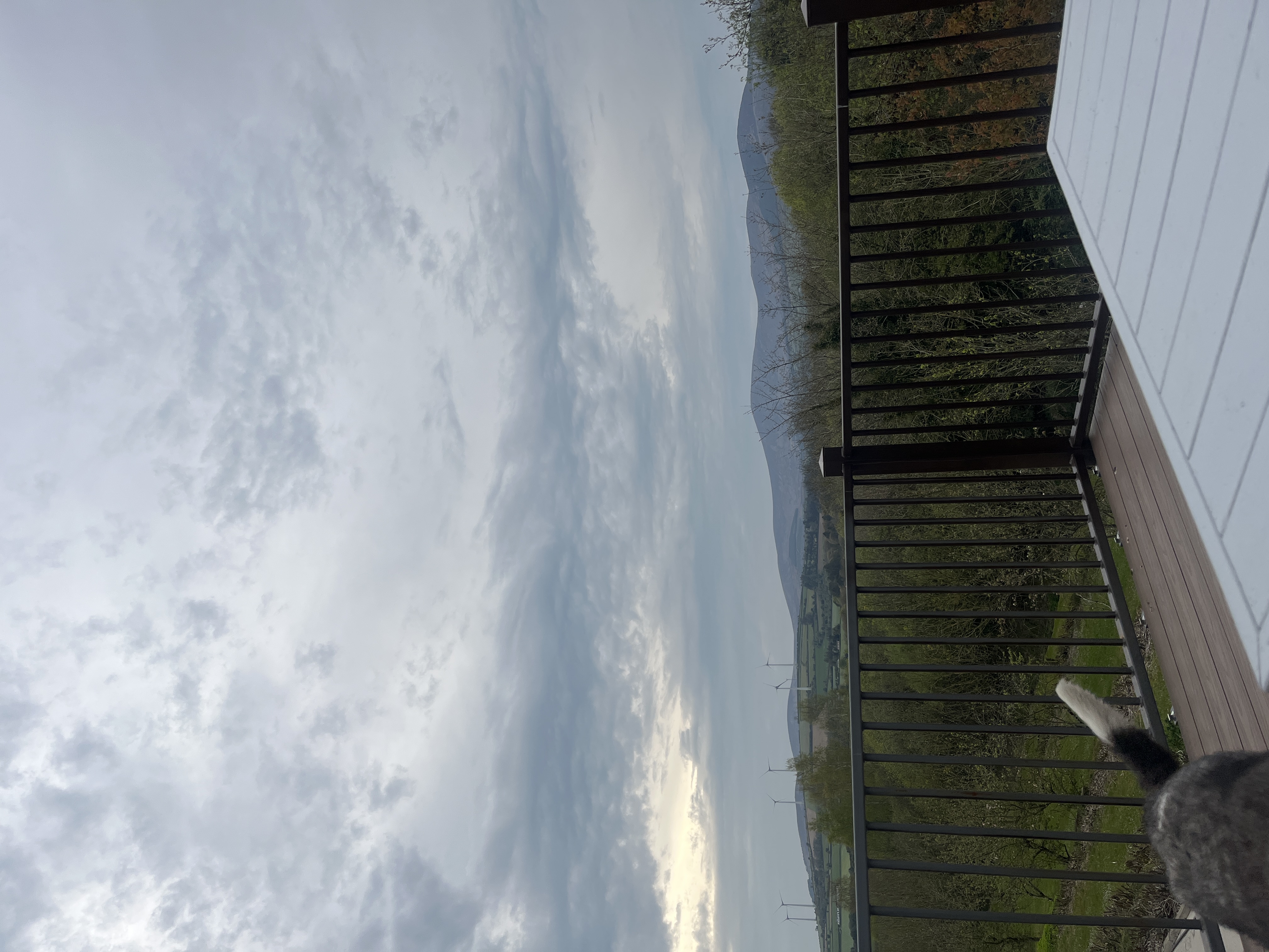 image-16