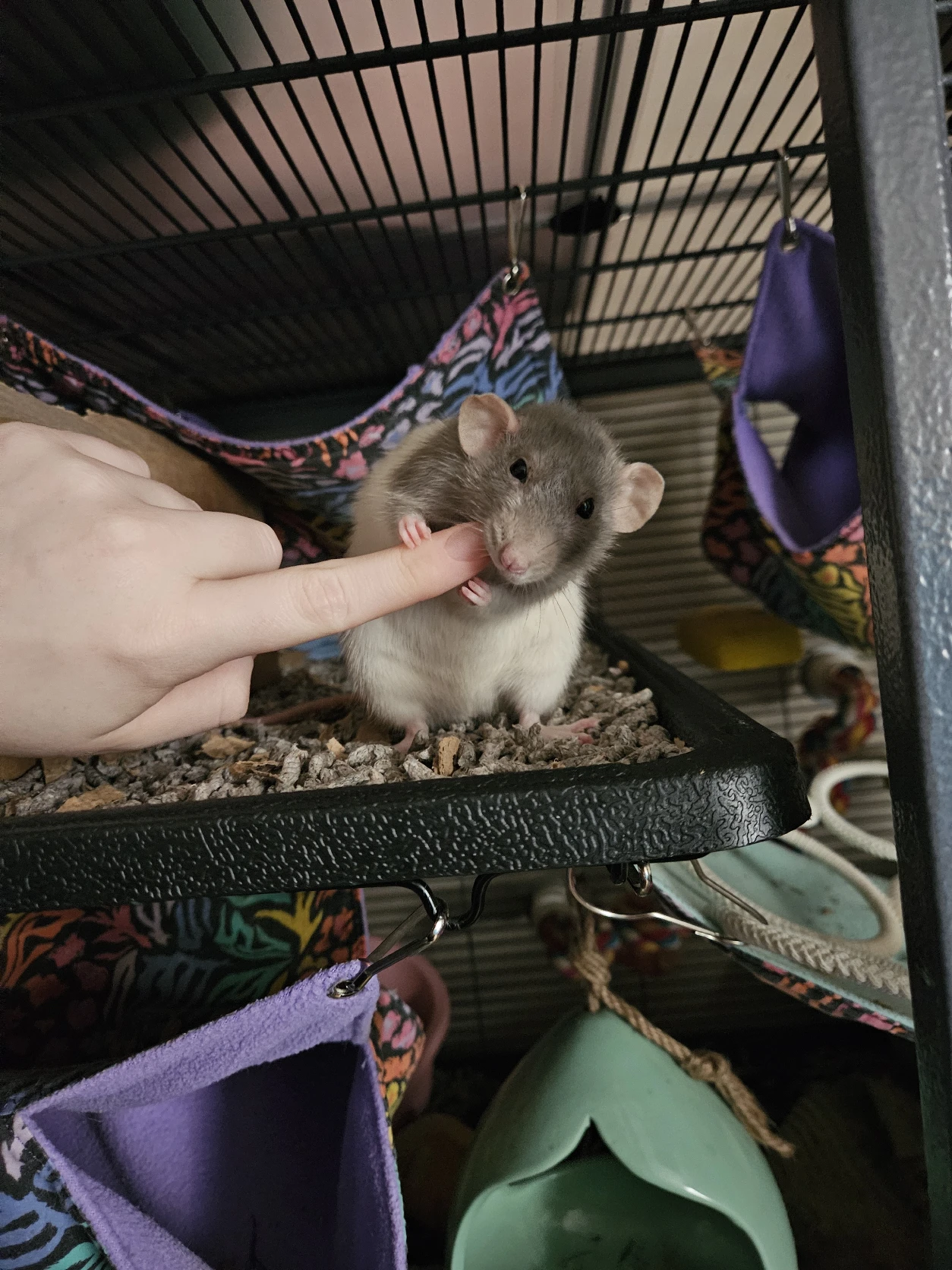 image-9
