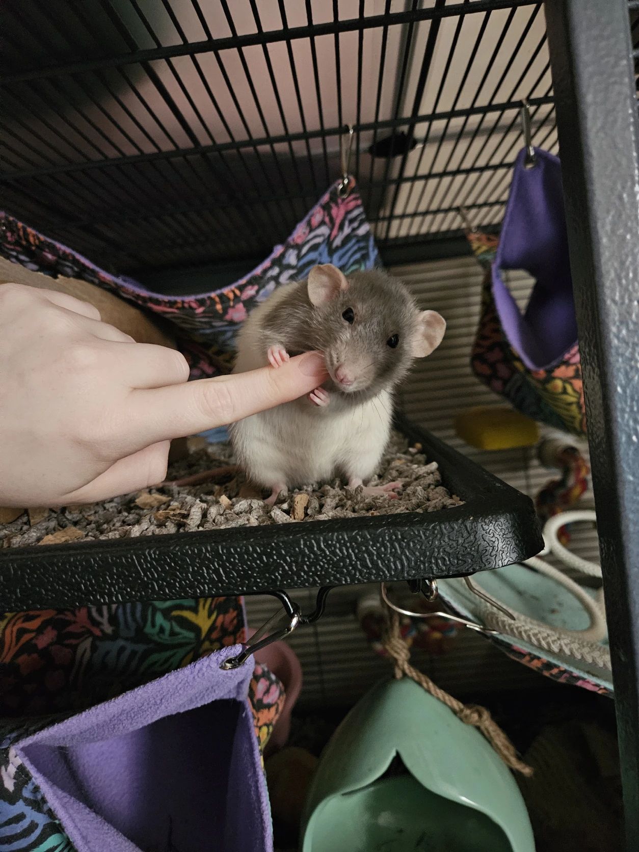 image-9