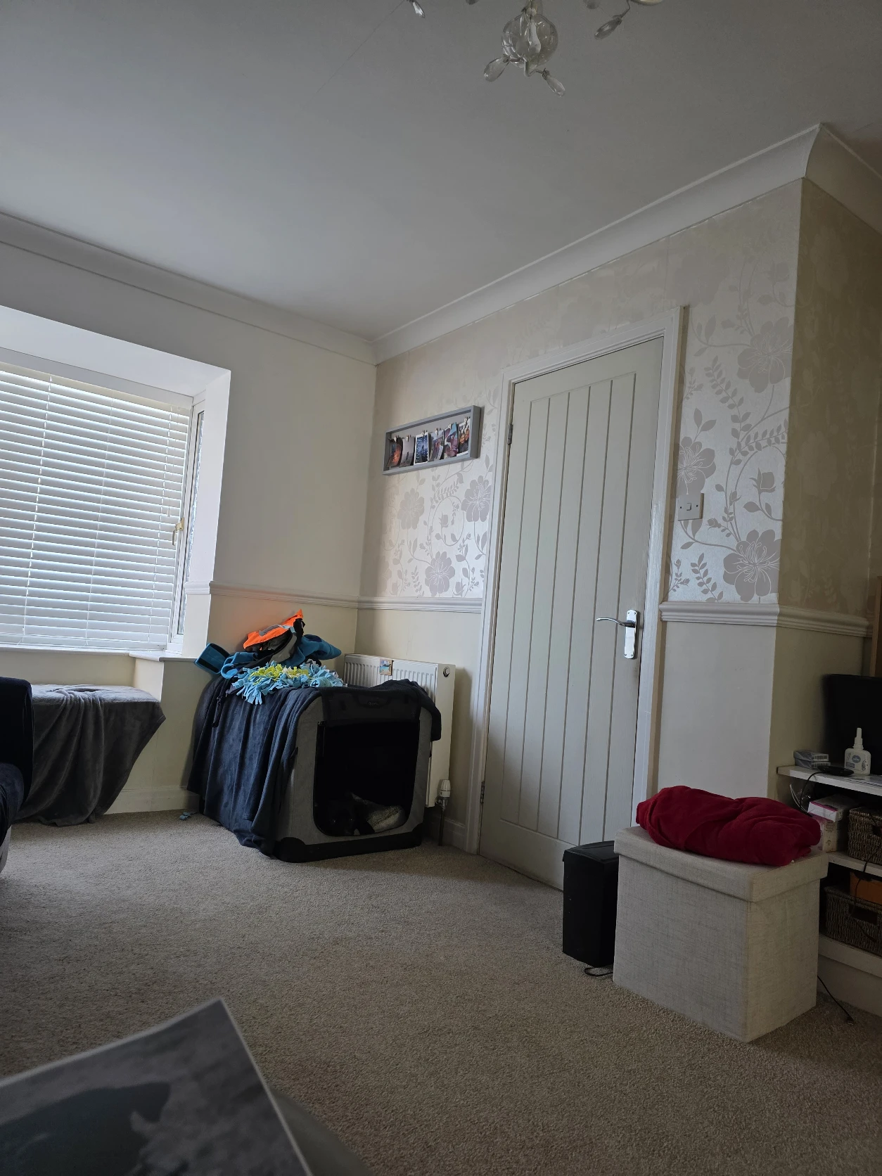 image-19
