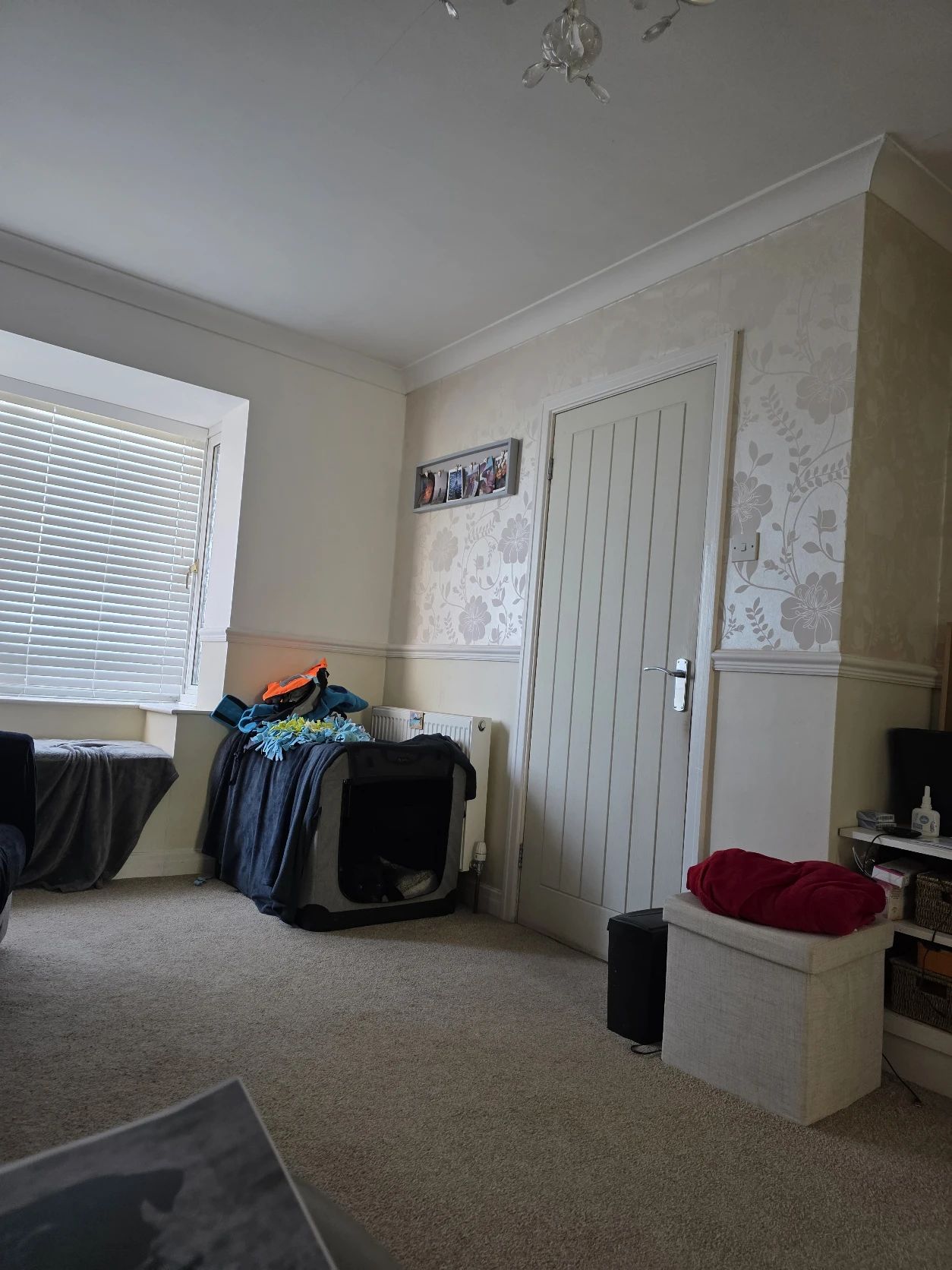 image-19