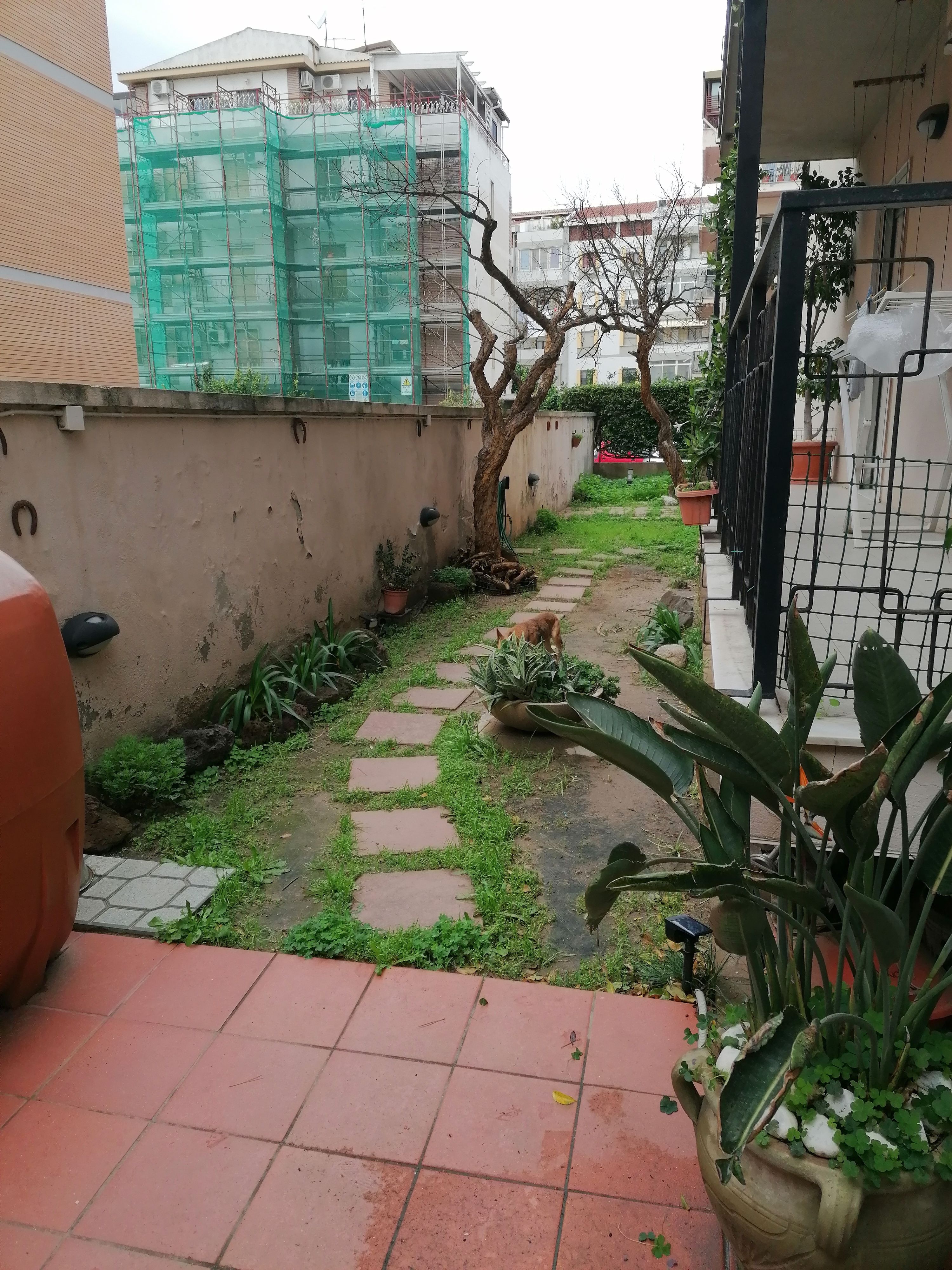 image-18