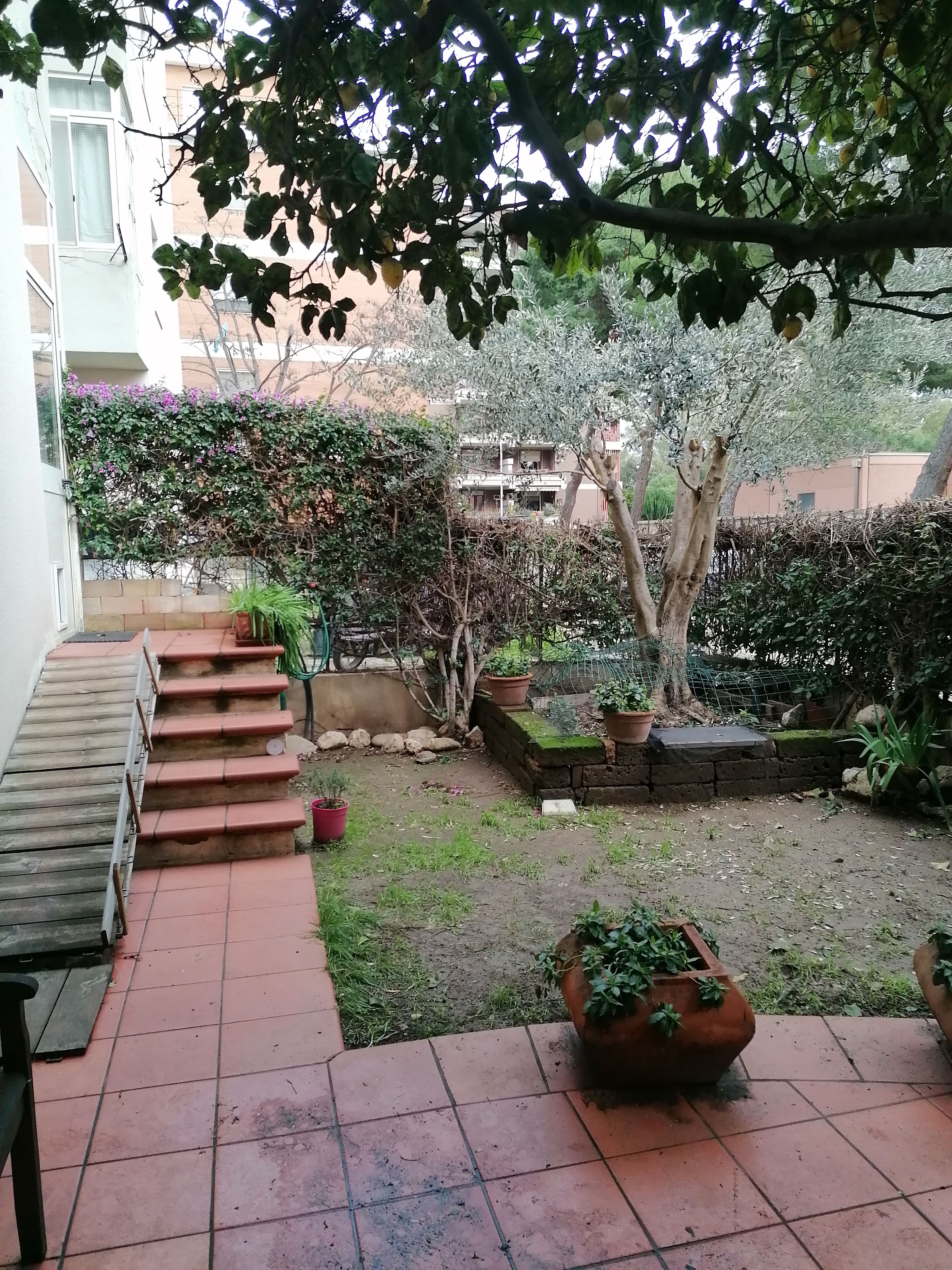 image-17