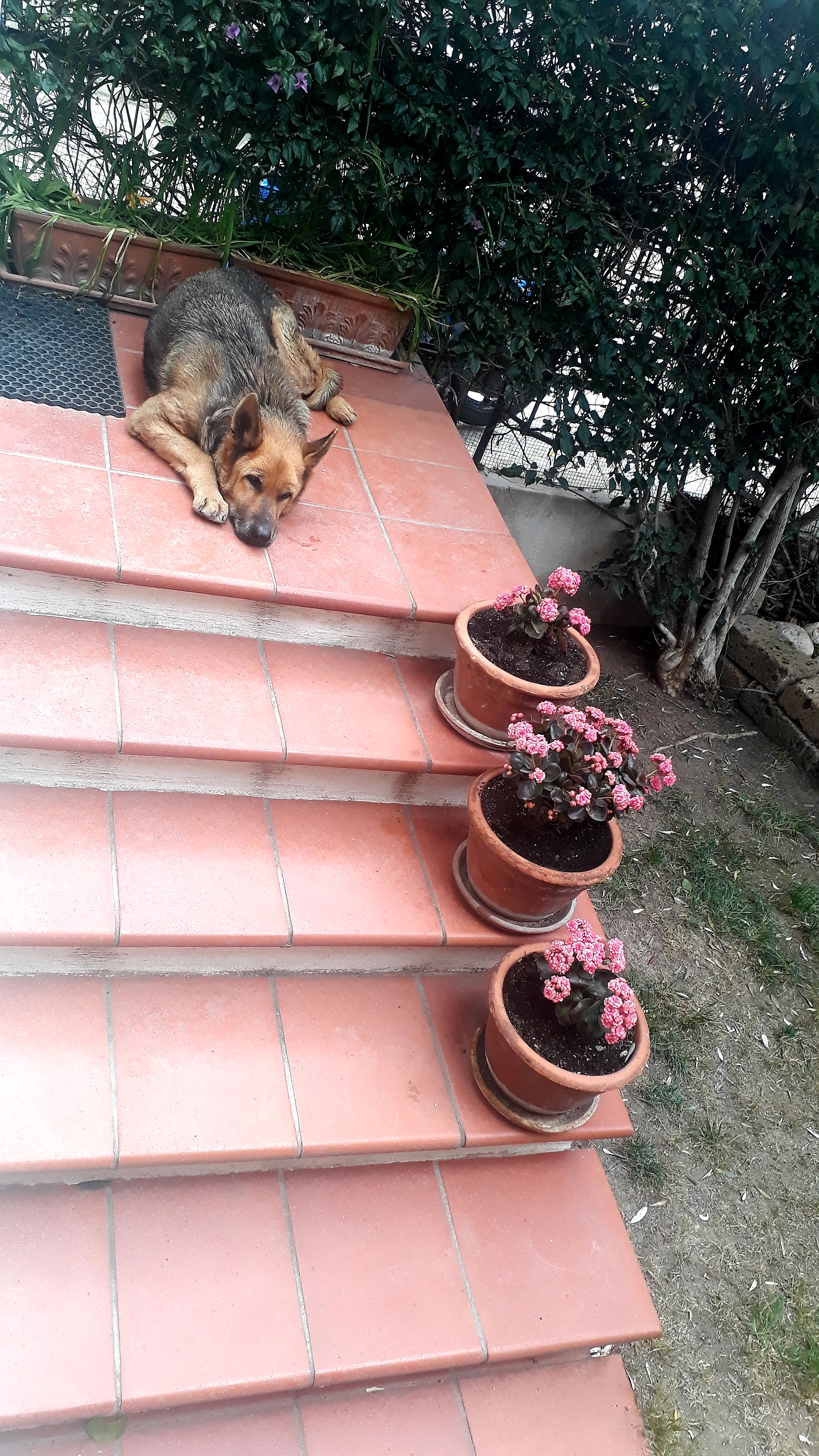 image-11