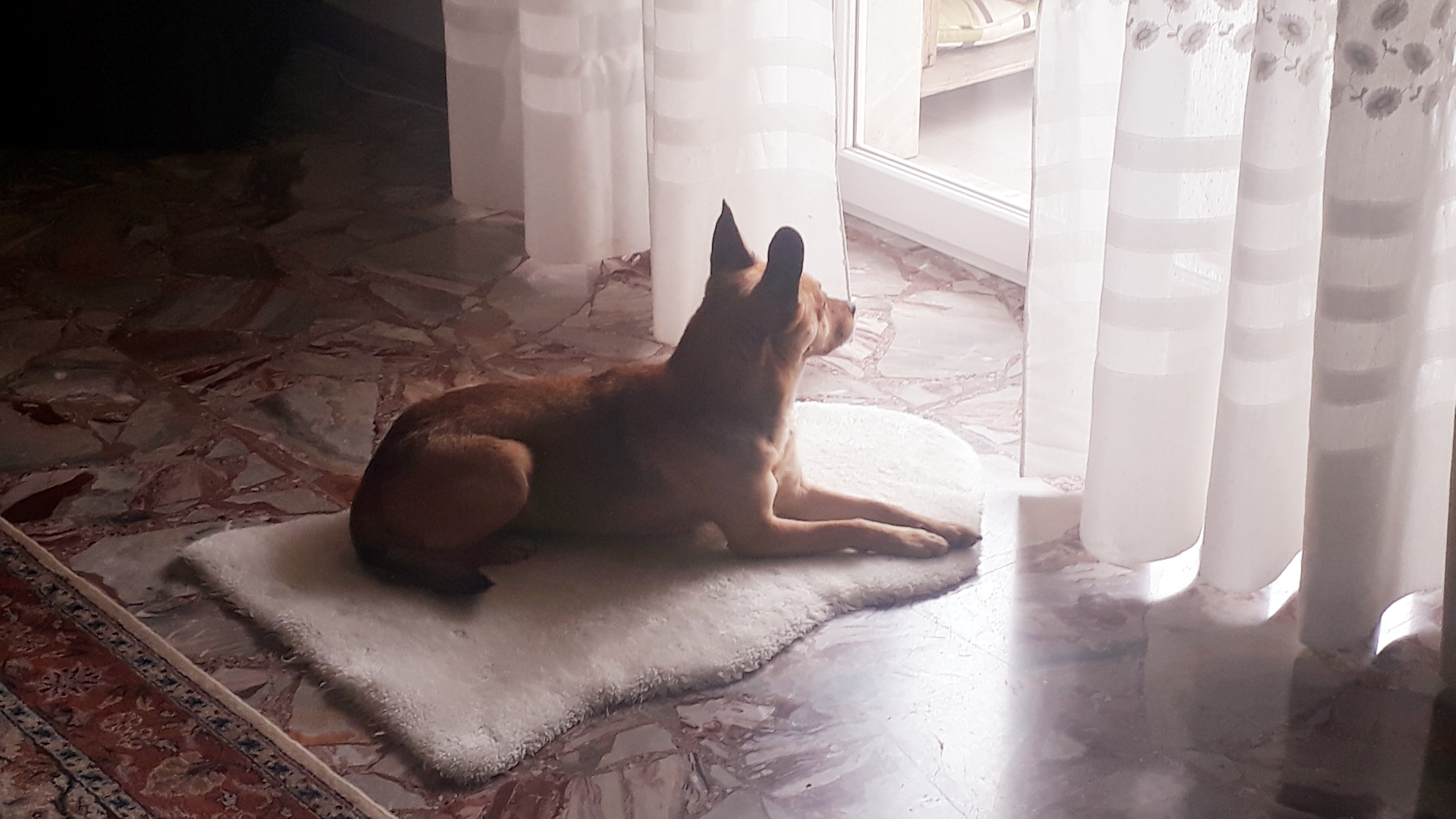 image-12