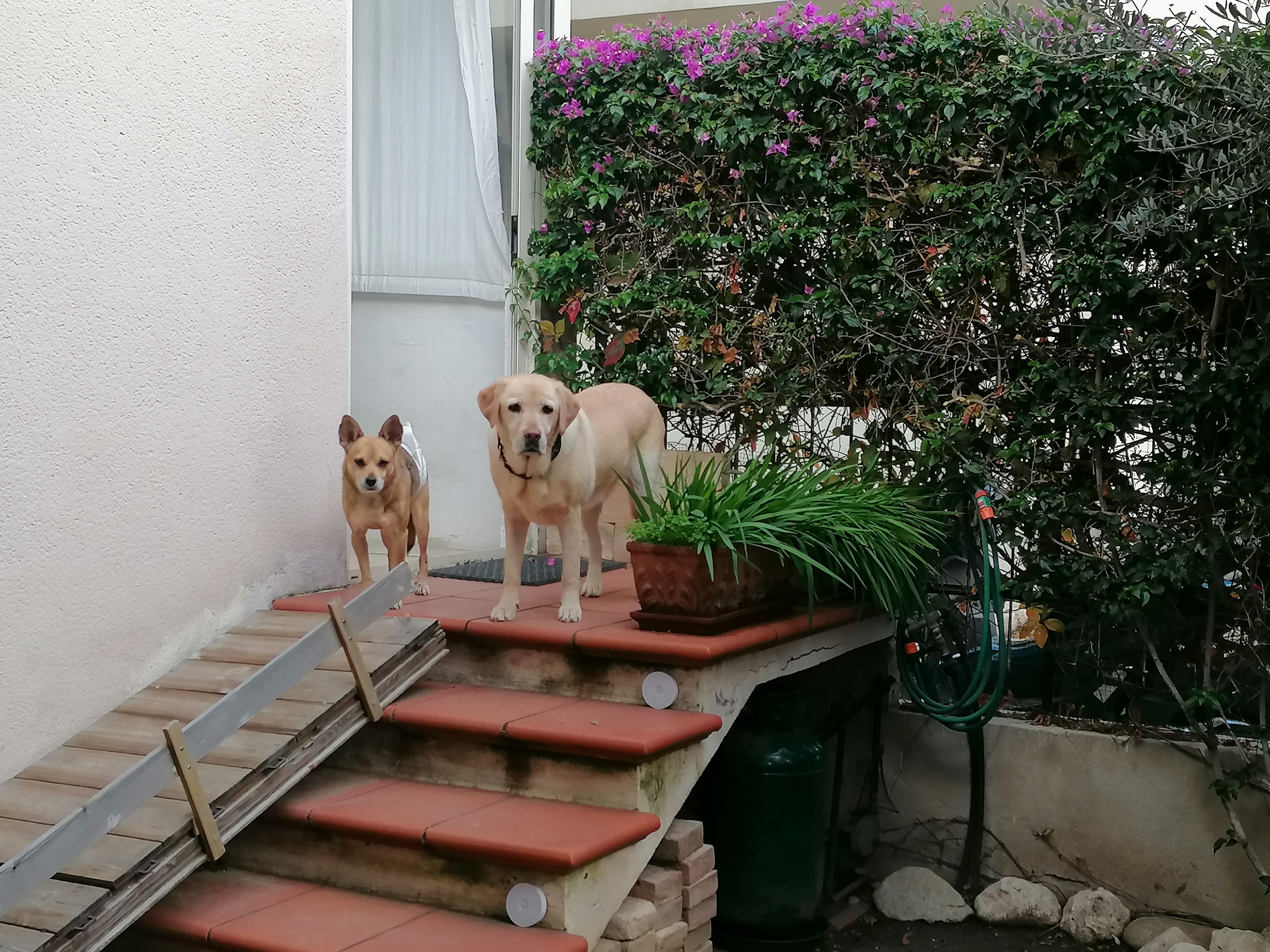 image-7